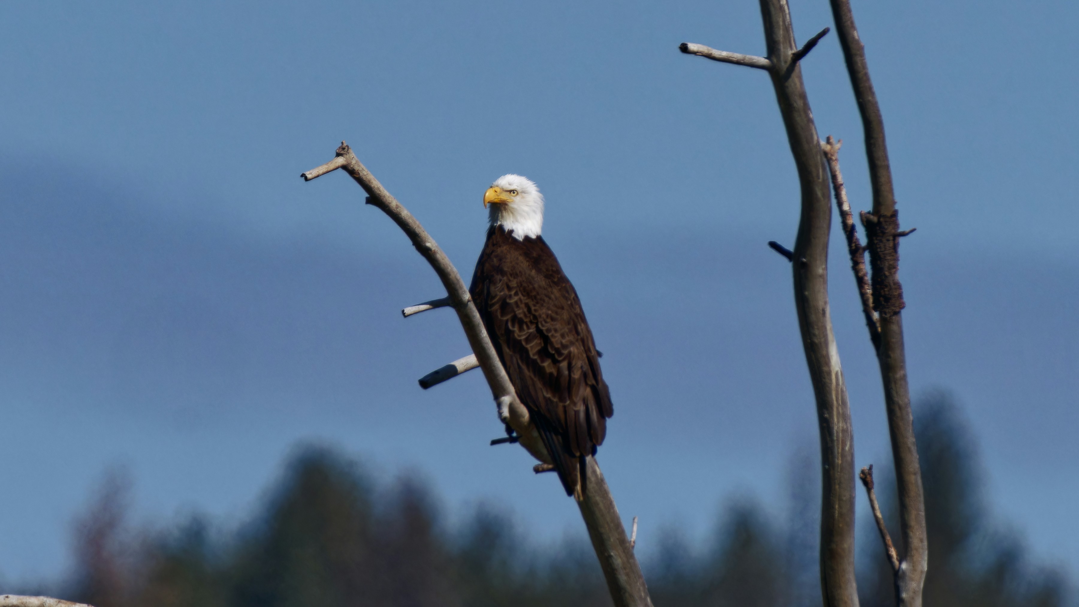 Photo by patrickbigelow_zoom_in