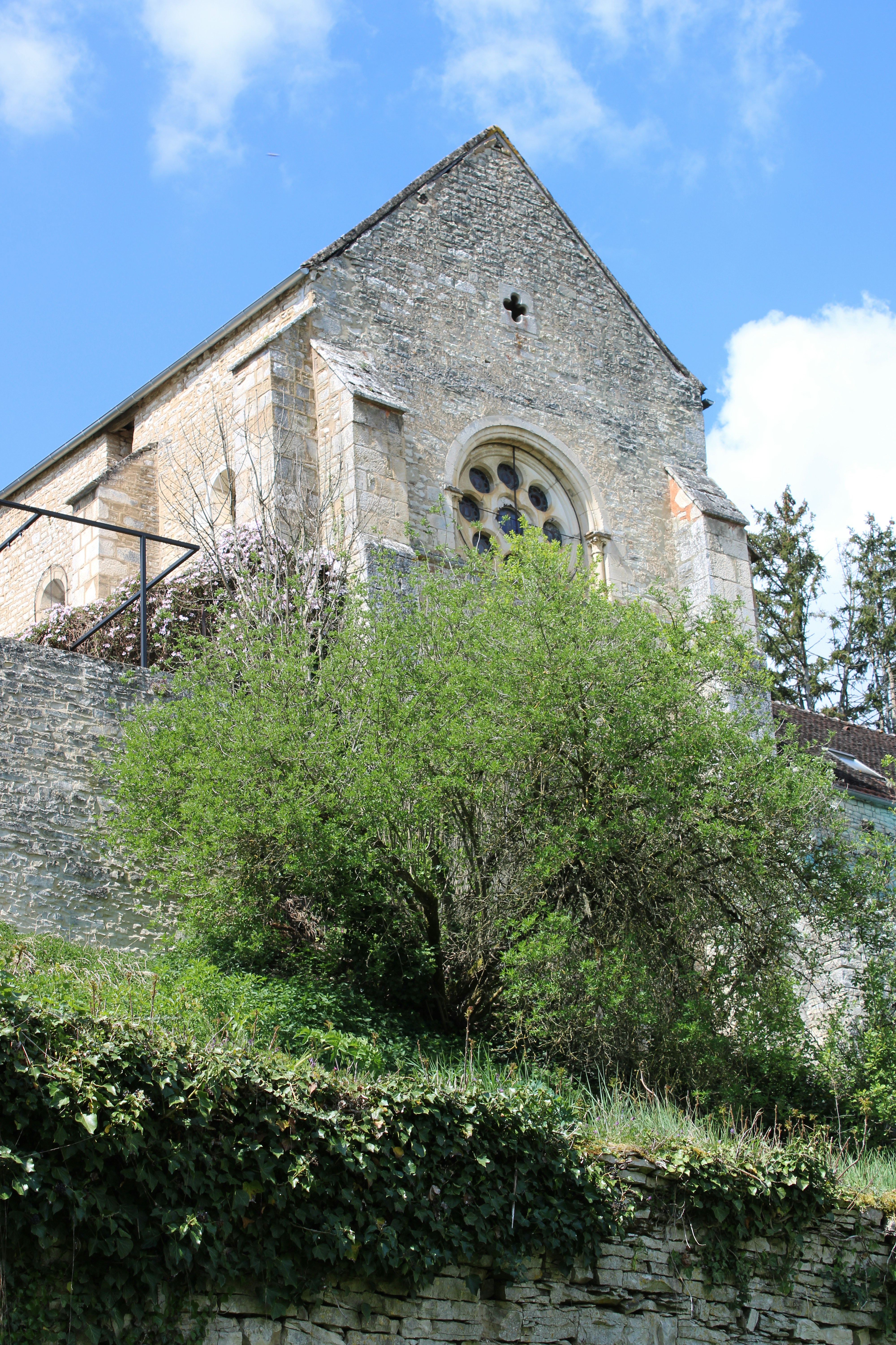 Photo by vinsdebourgogne