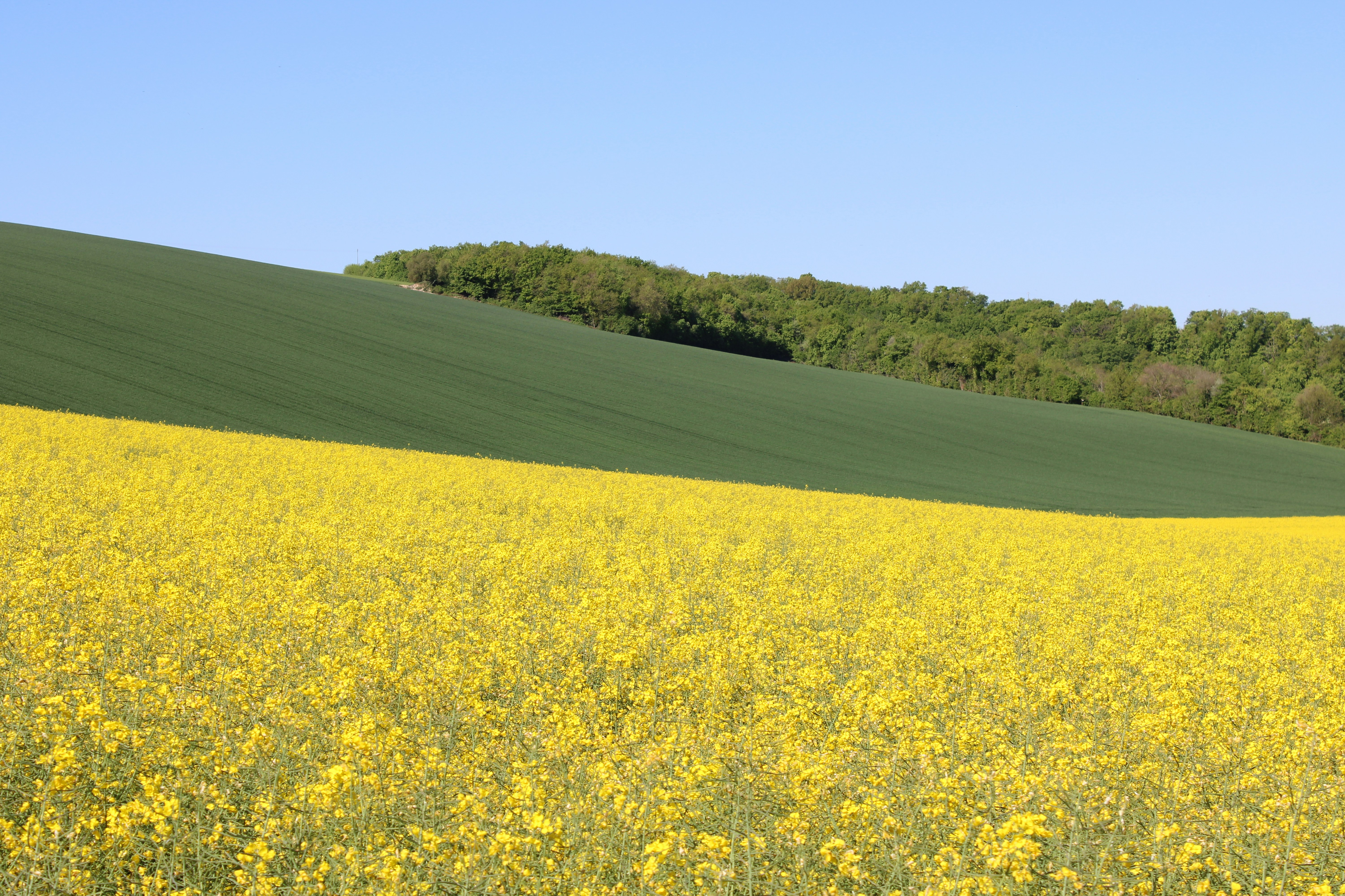 Photo by vinsdebourgogne