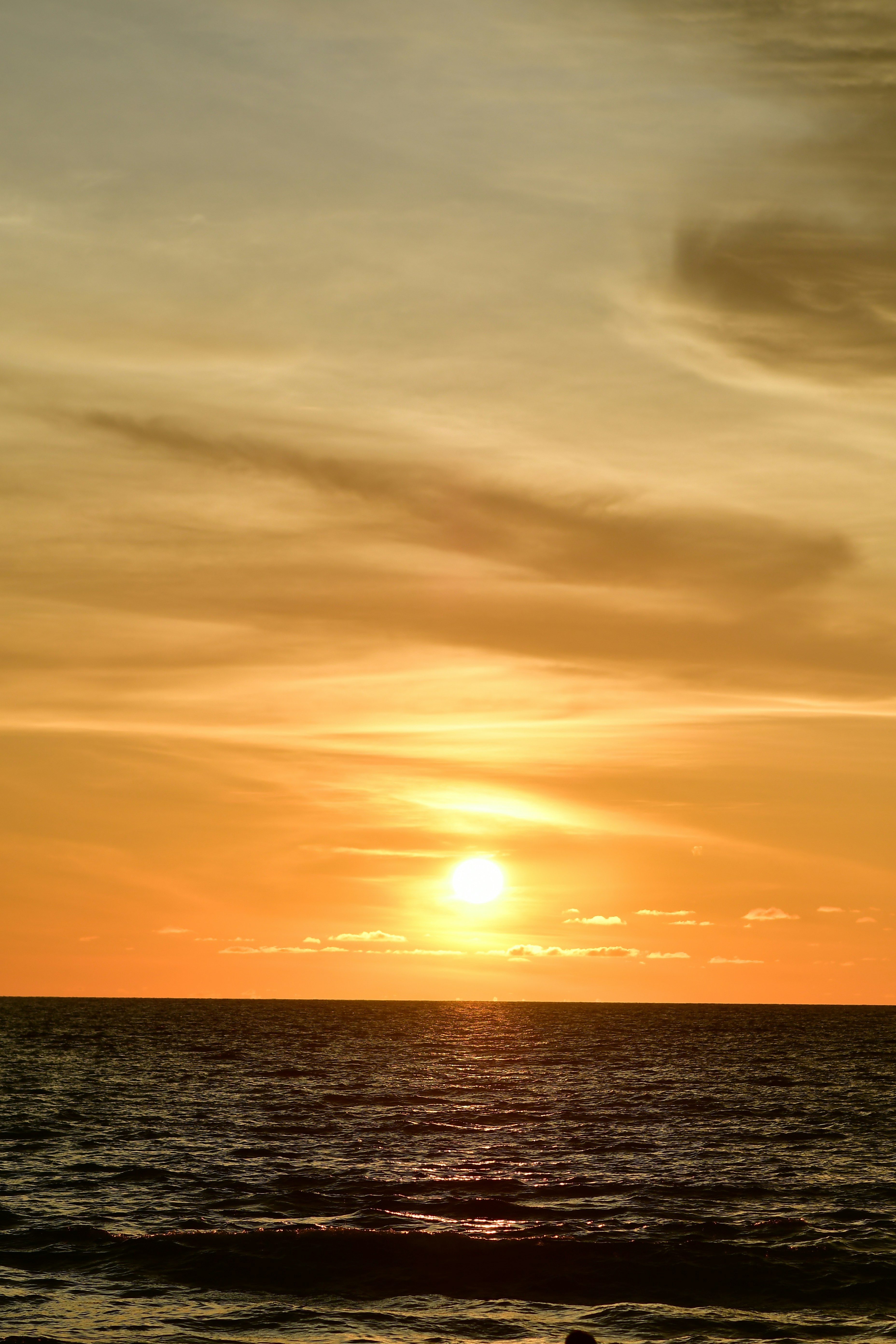 Photo by issamelbayed