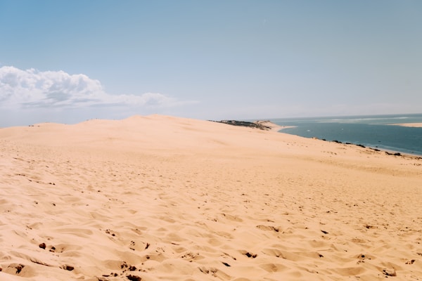 Dune du Pilat surplombant l'océan, Bassin d'Arcachon