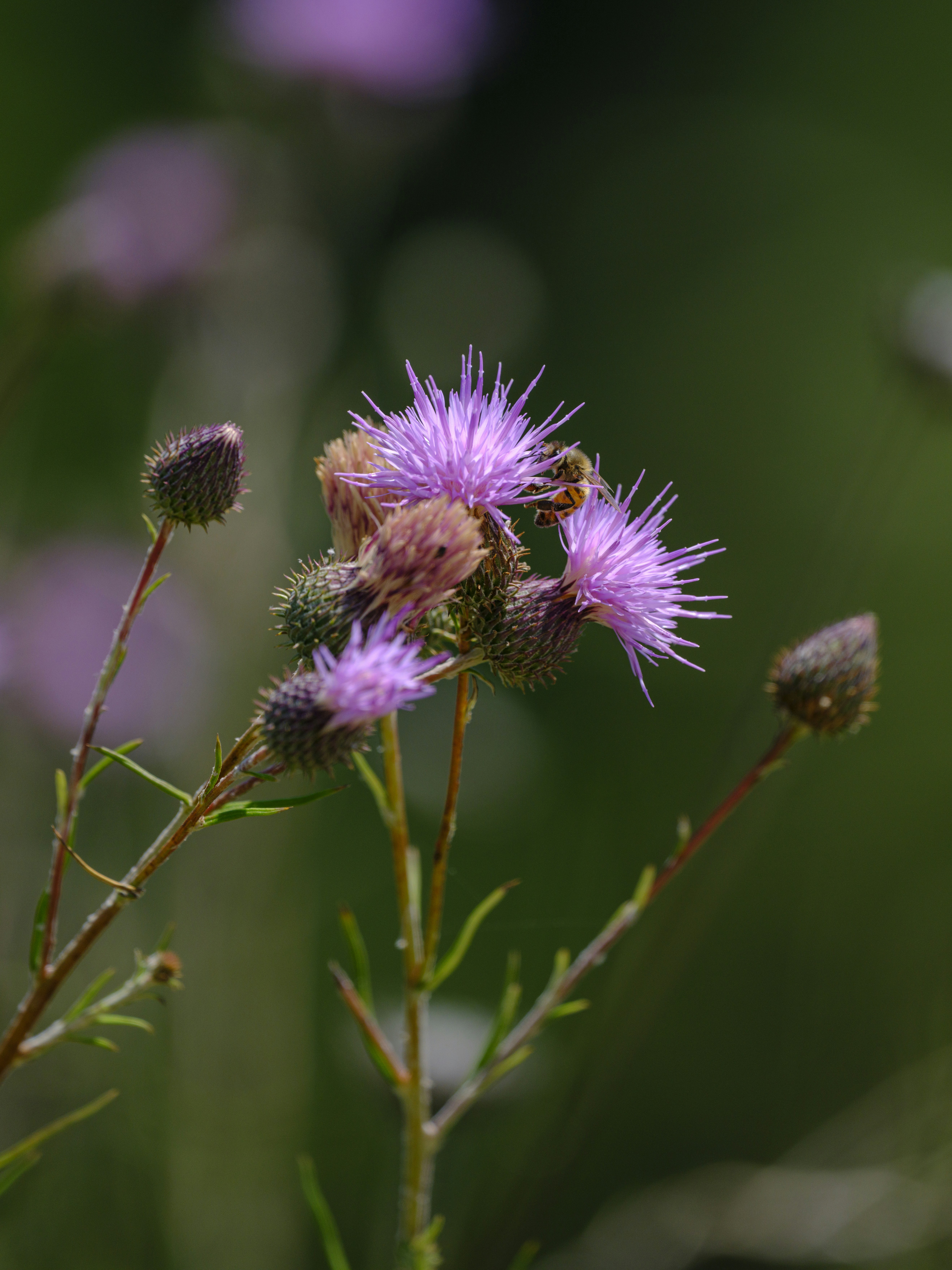 Photo by enginakyurt