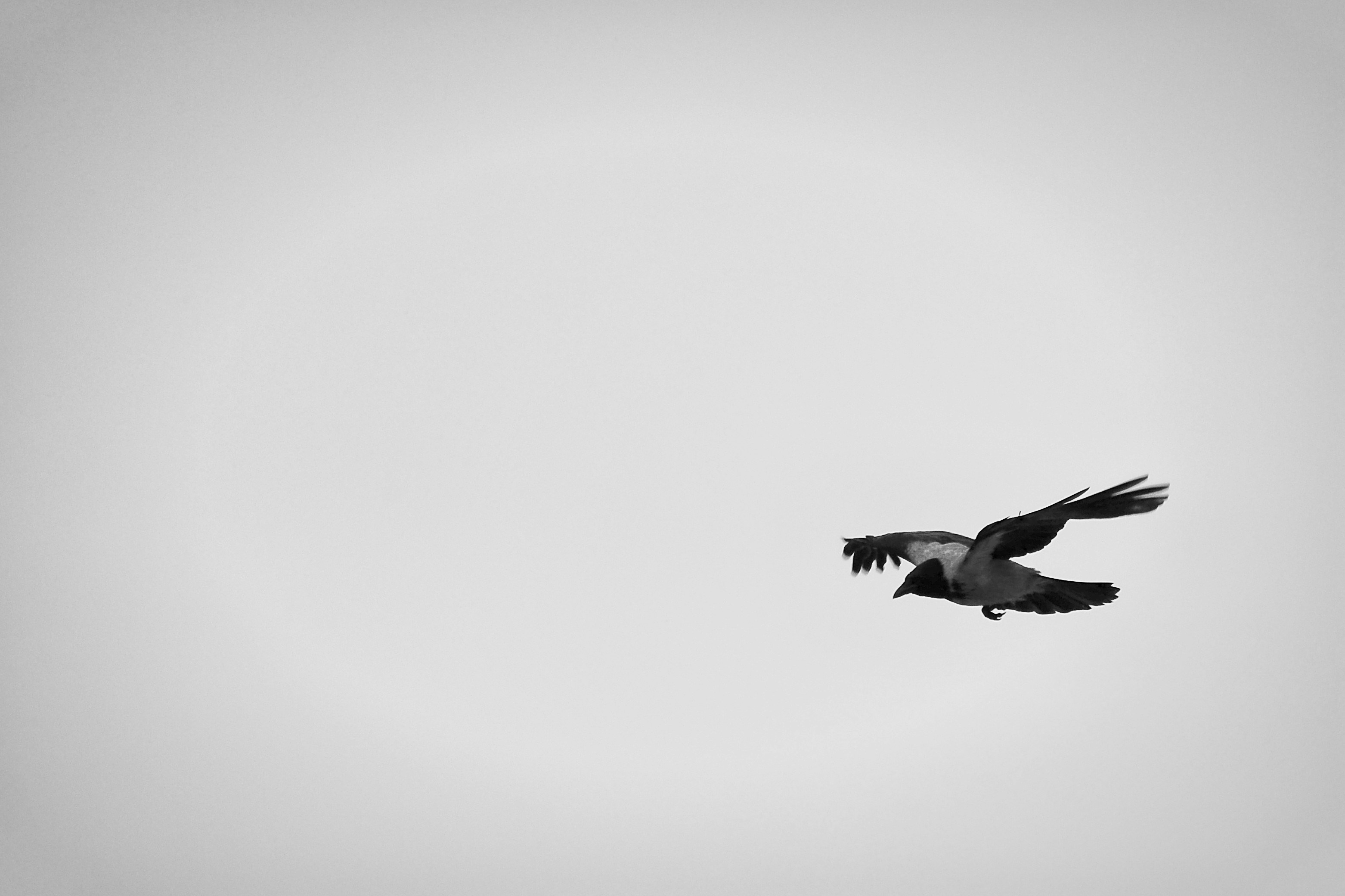 Photo by matteokutufa