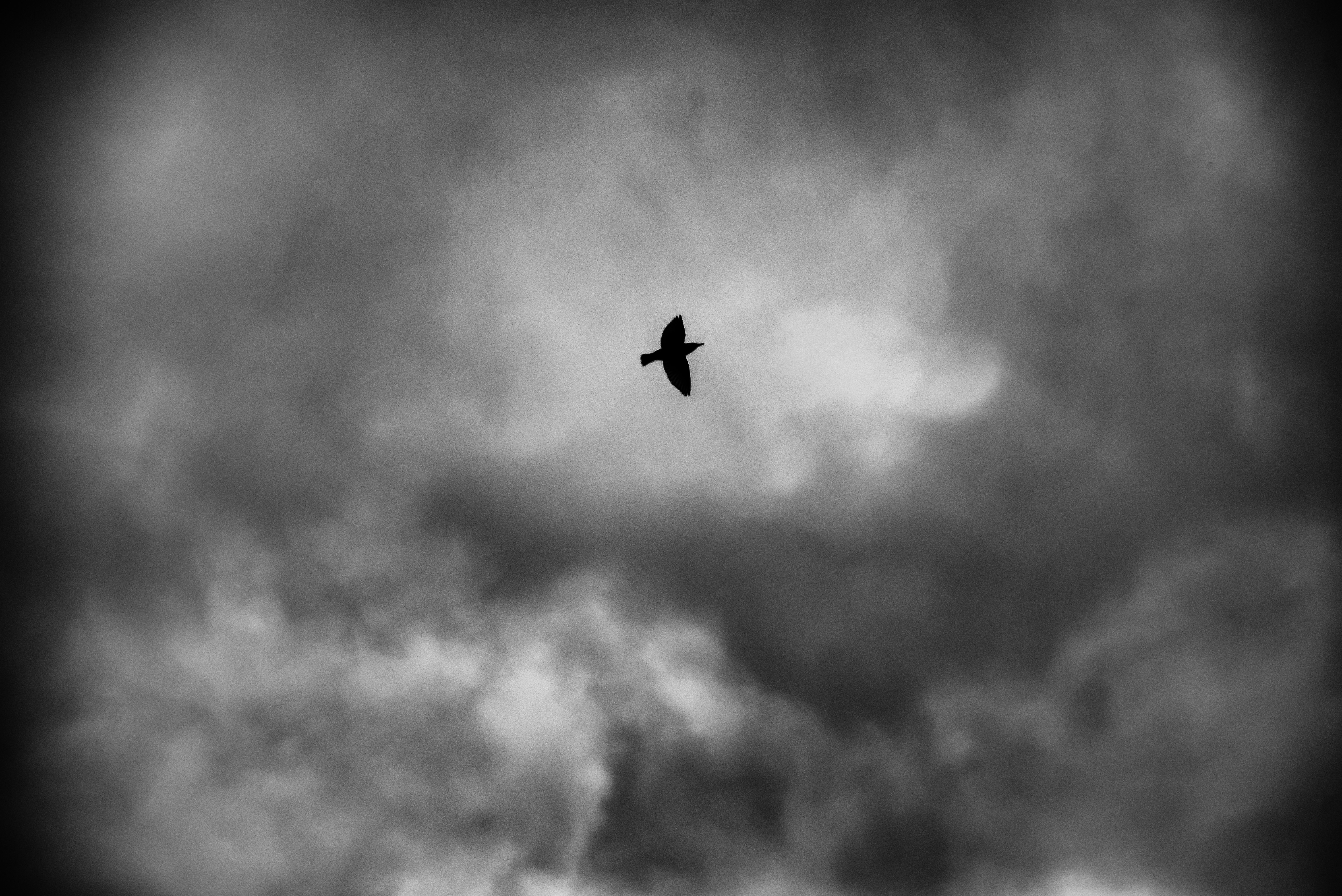 Photo by matteokutufa