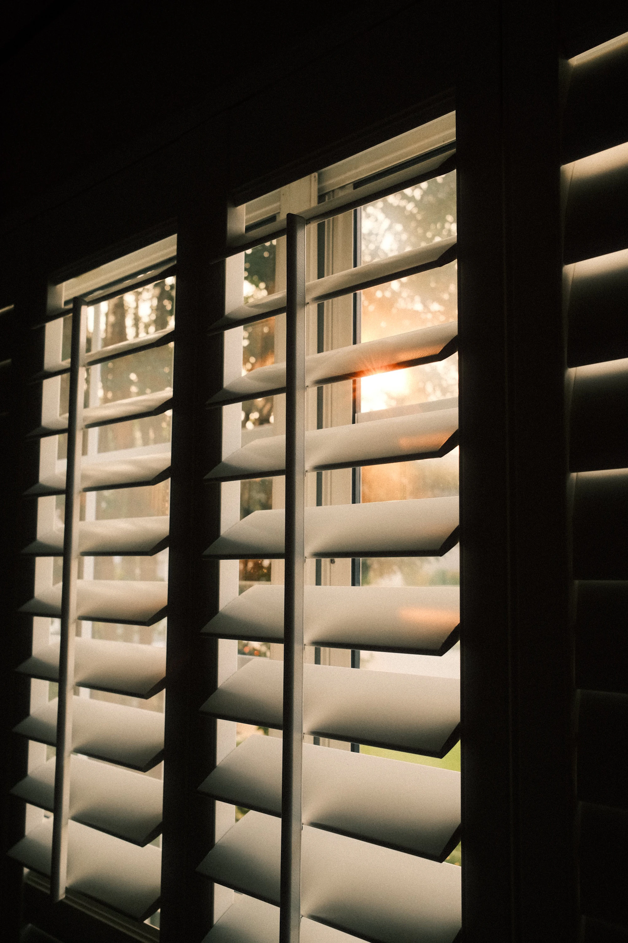 White hardwood plantation shutters across a window, louvres tilted to a warm evening glow