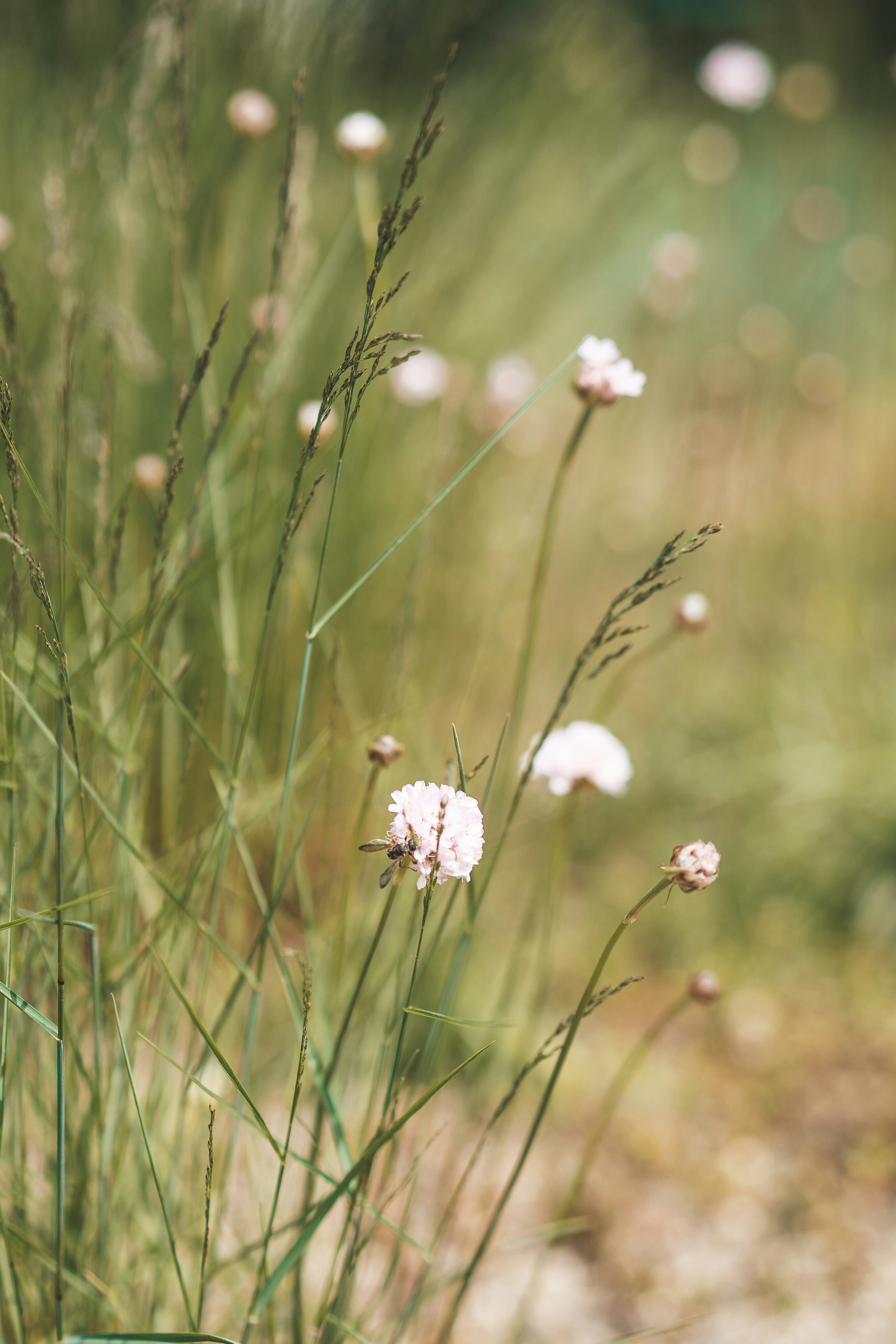 Photo by anamnesis33