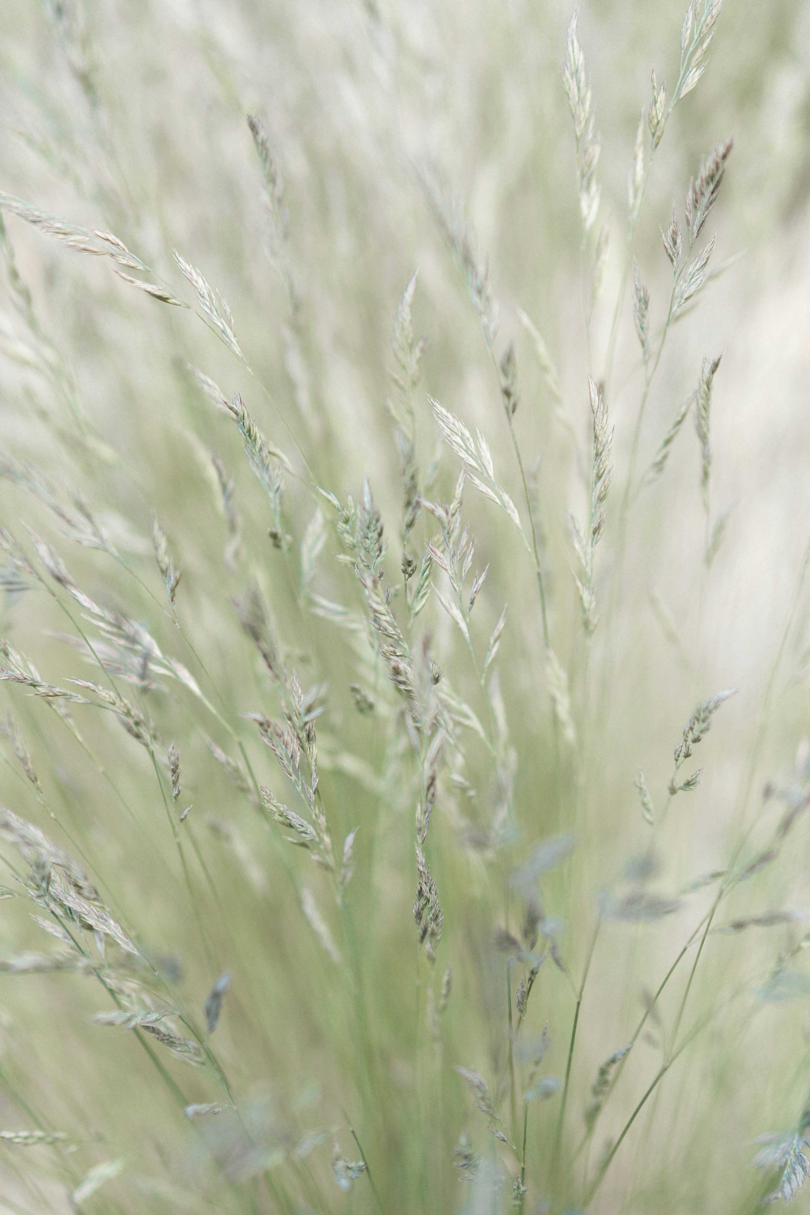 Photo by anamnesis33