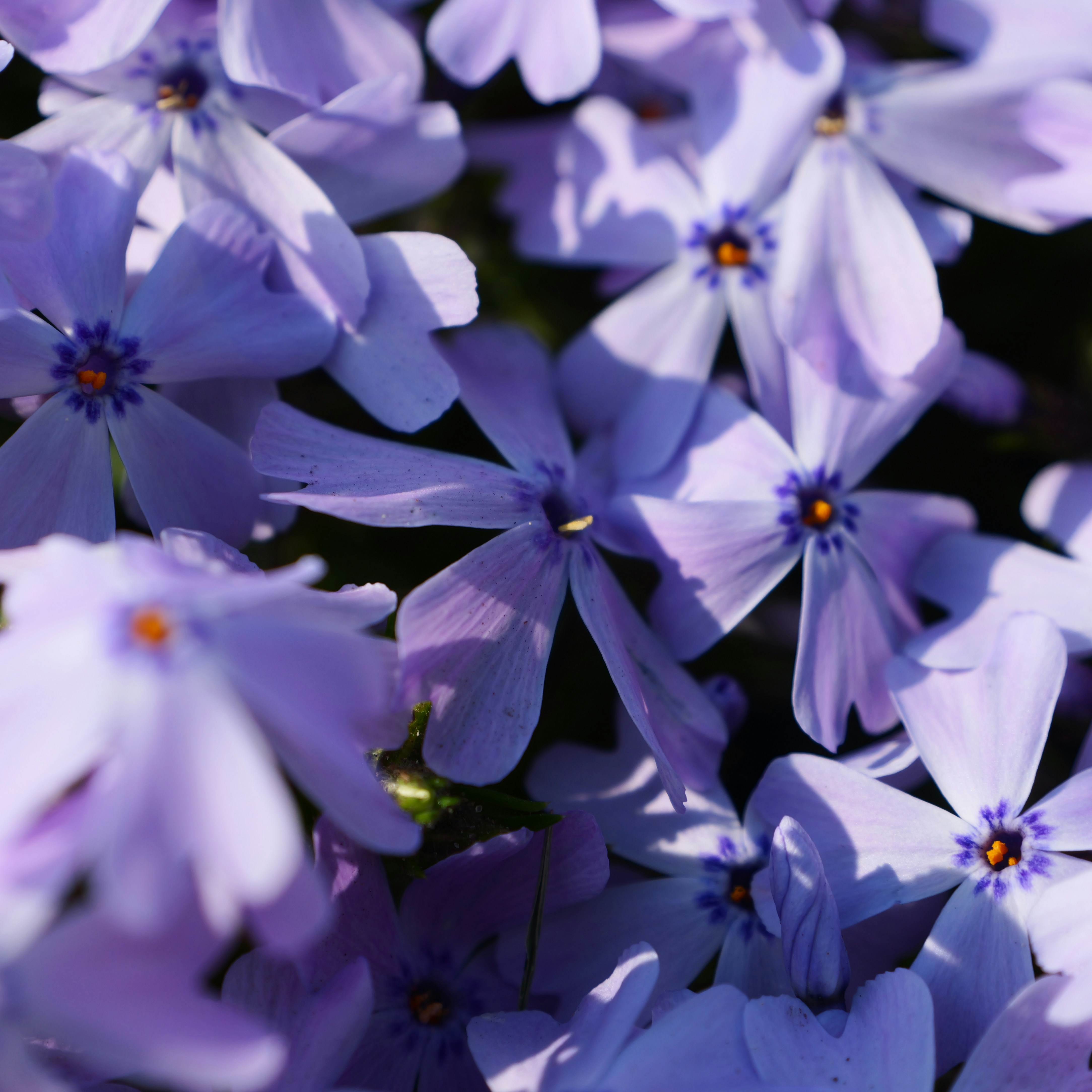 Photo by karonthompson