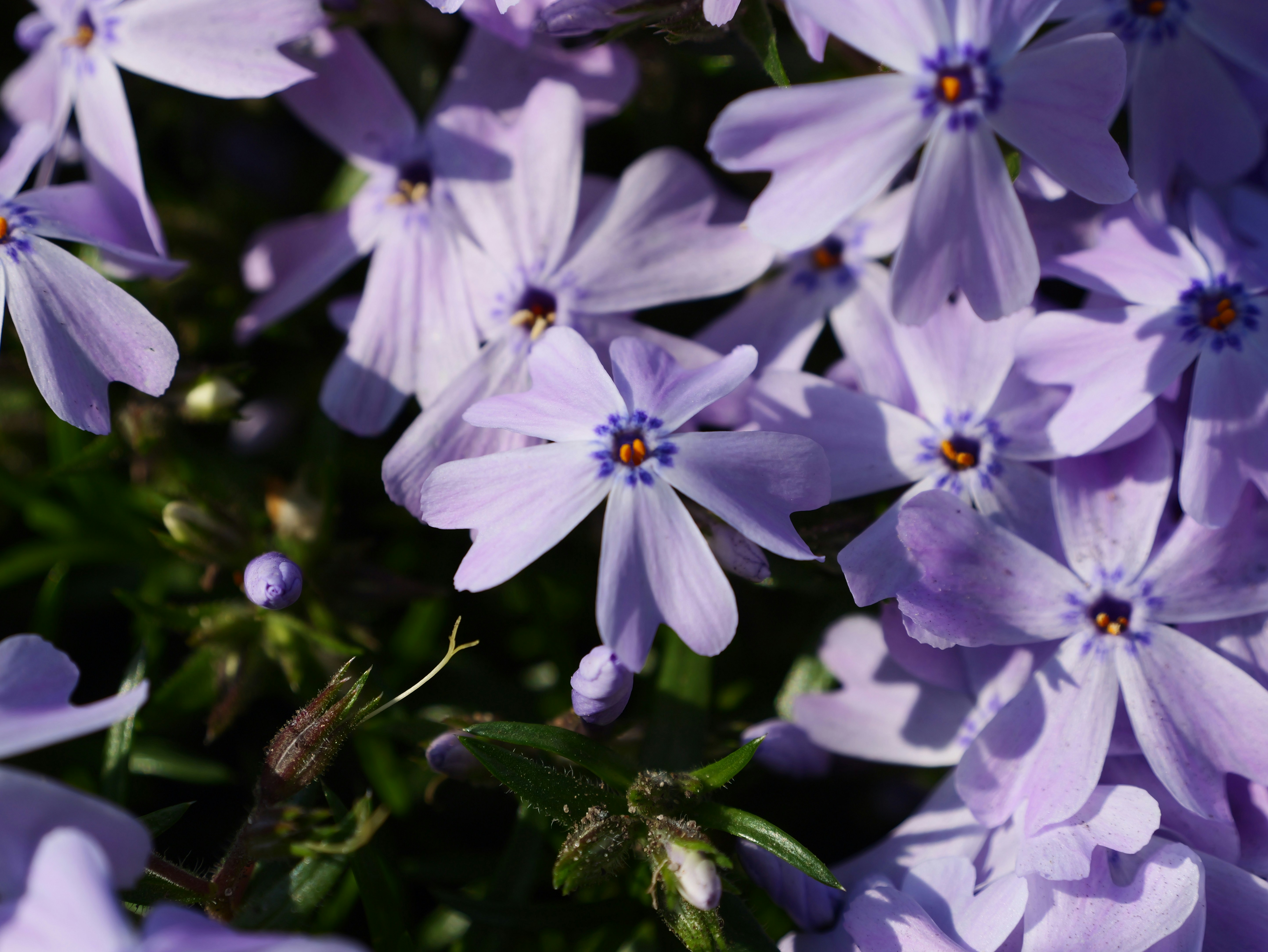 Photo by karonthompson