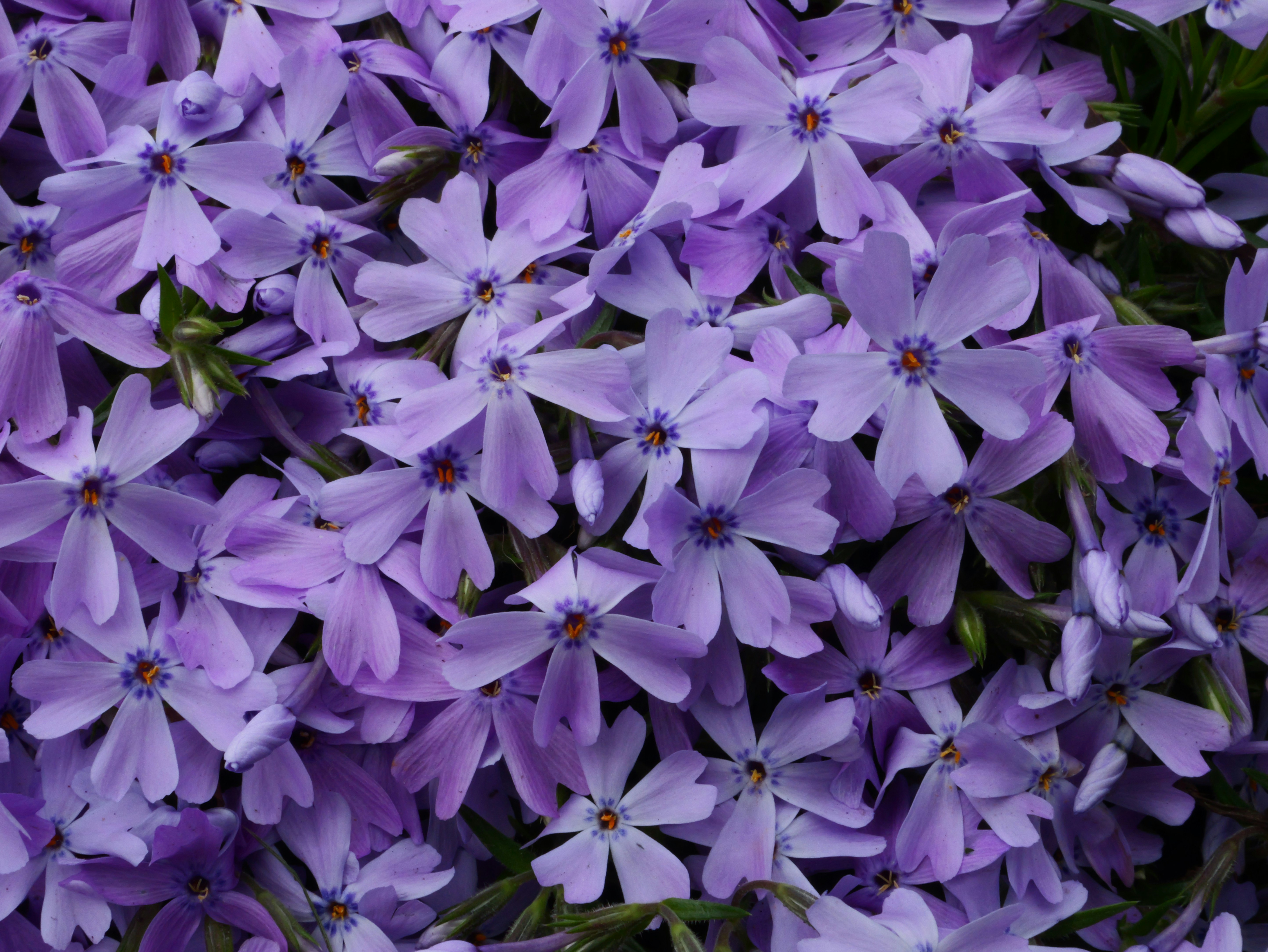 Photo by karonthompson