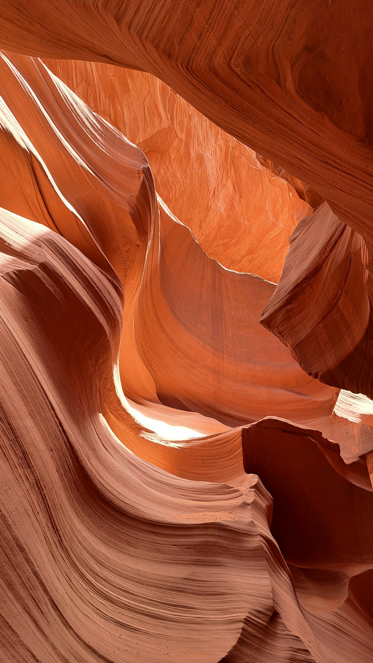 Antelope Canyon & Horseshoe Bend - Las Vegas Day Tour from $349 | 15 hours | DayTours.Vegas