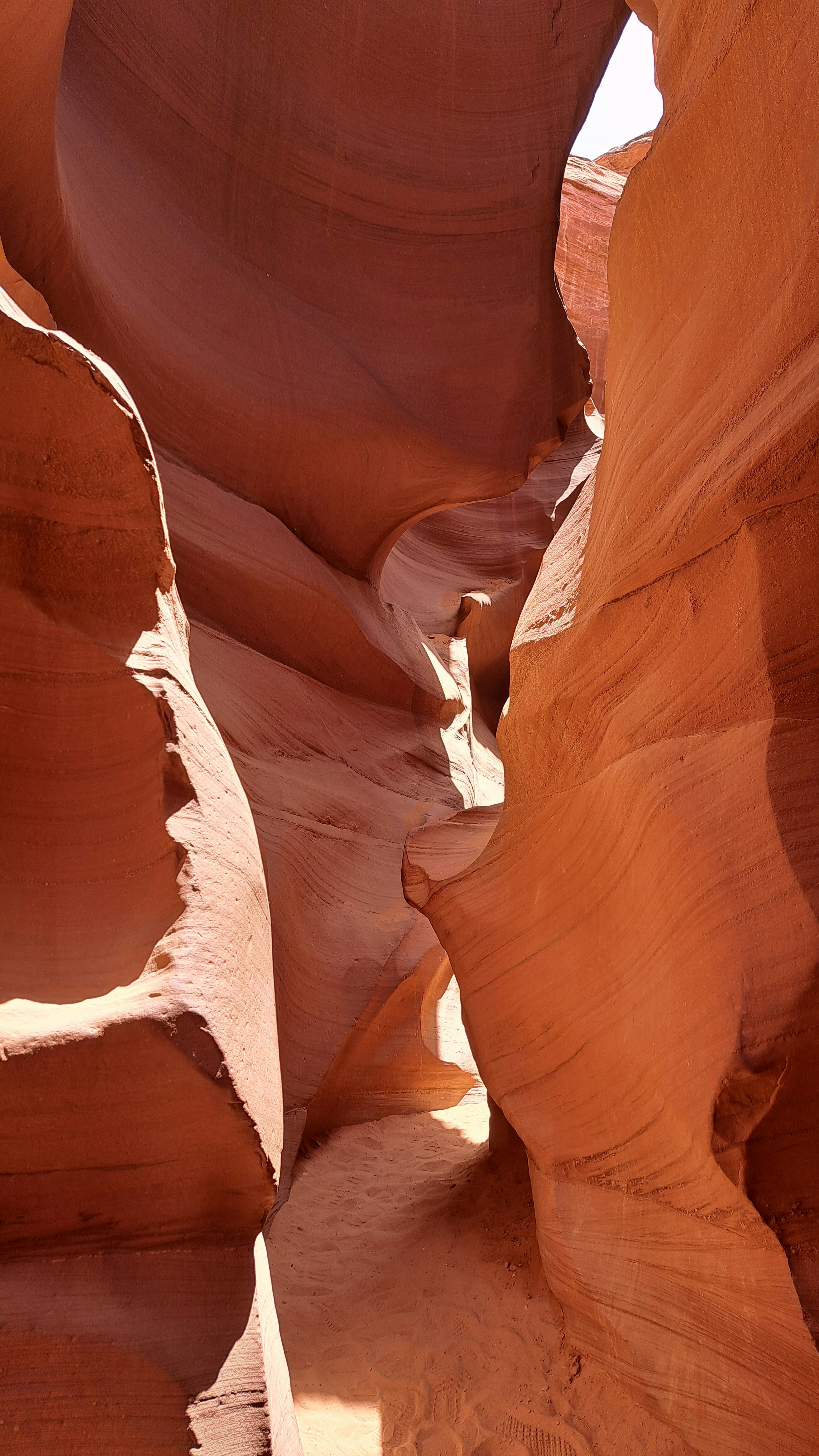 Photo by pragathi_ilango