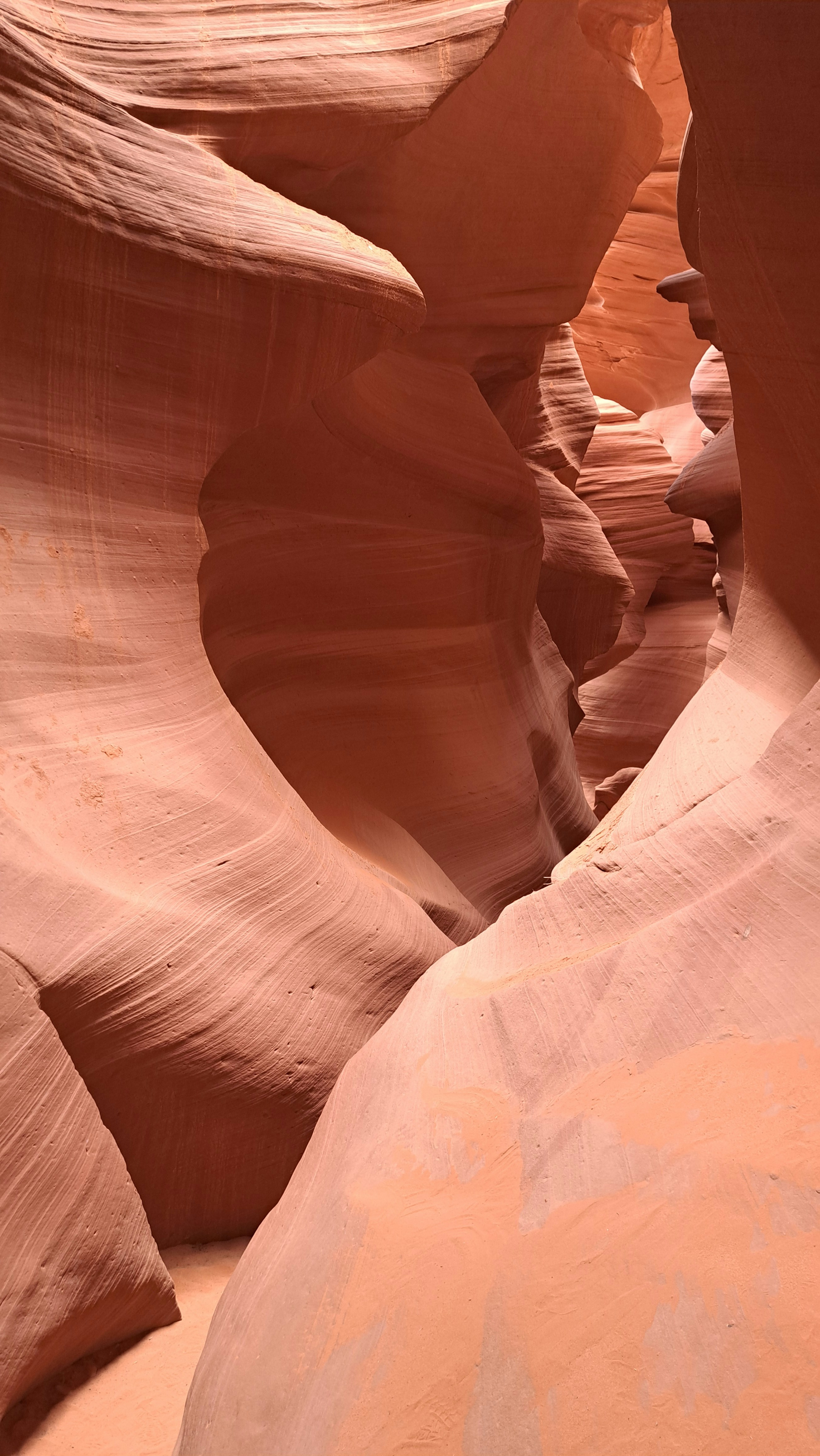 Photo by pragathi_ilango