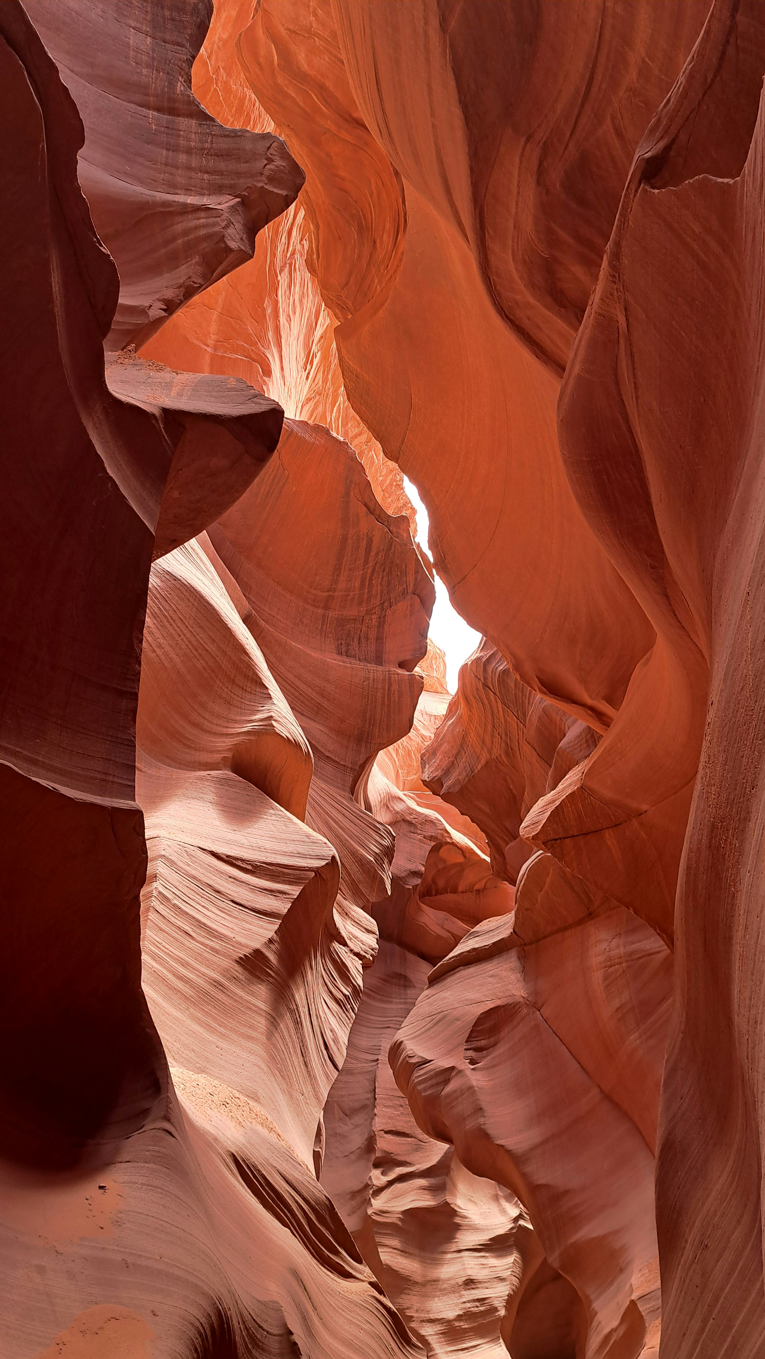 Photo by pragathi_ilango