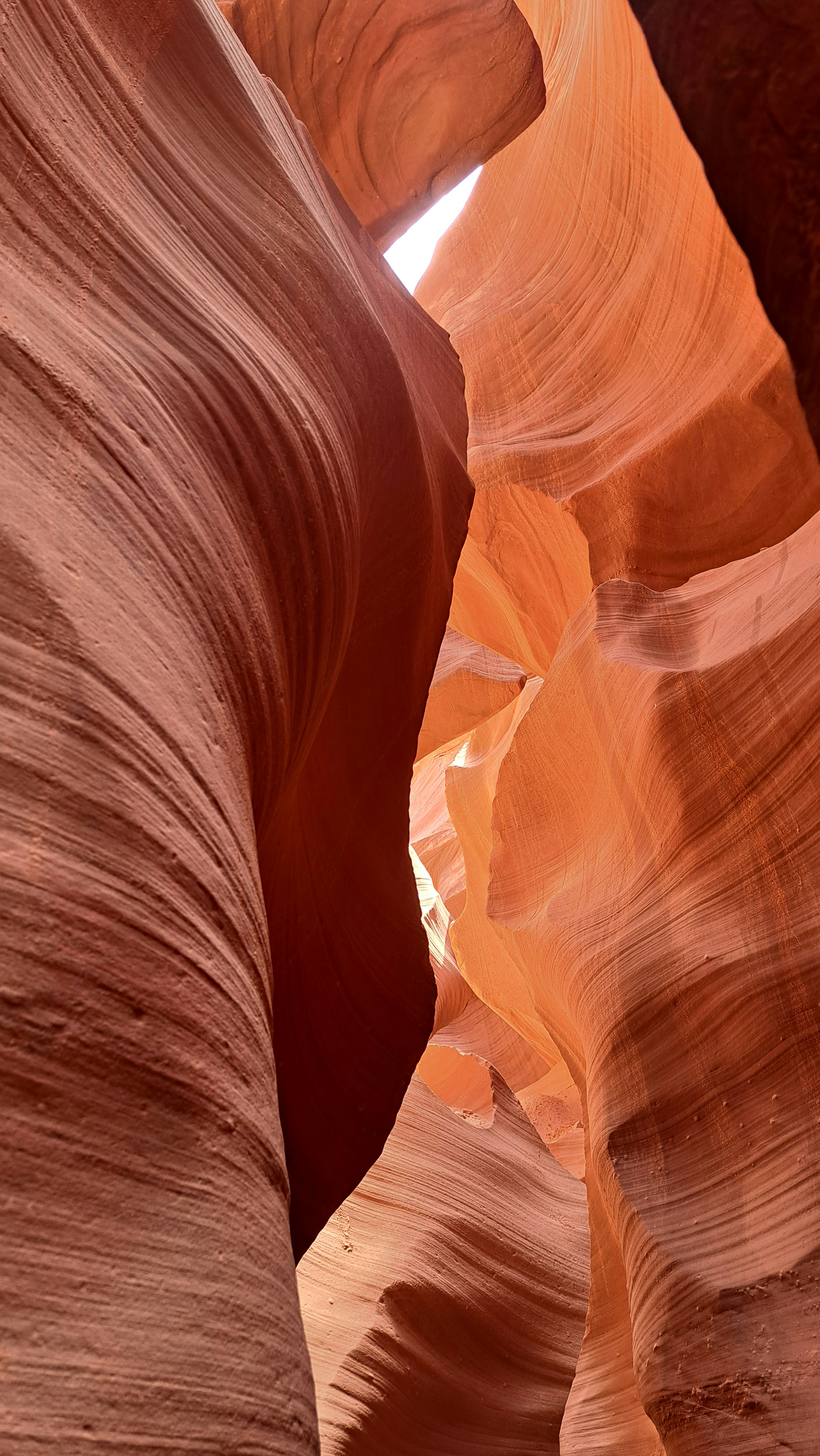 Photo by pragathi_ilango