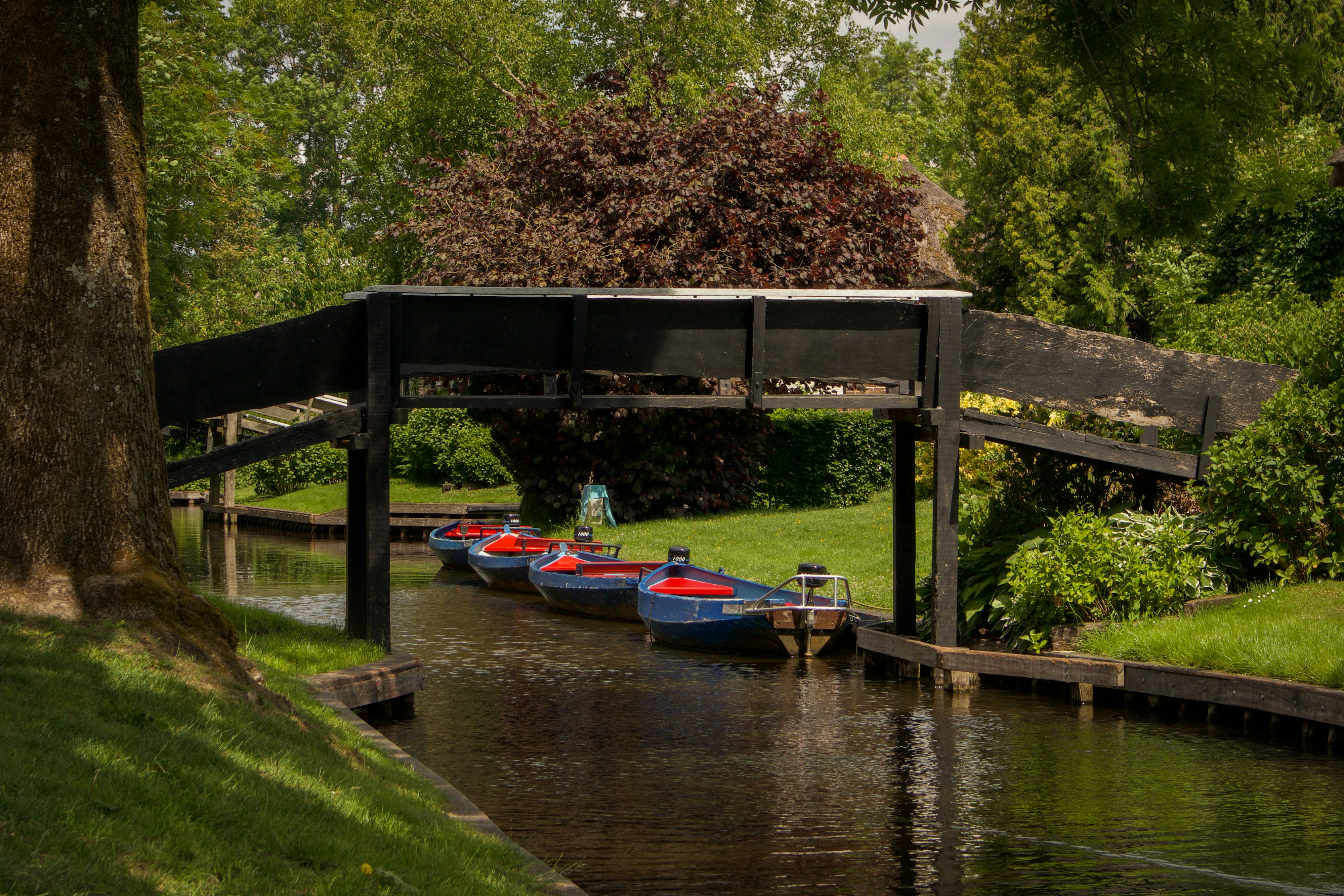 Photo by user_pascal