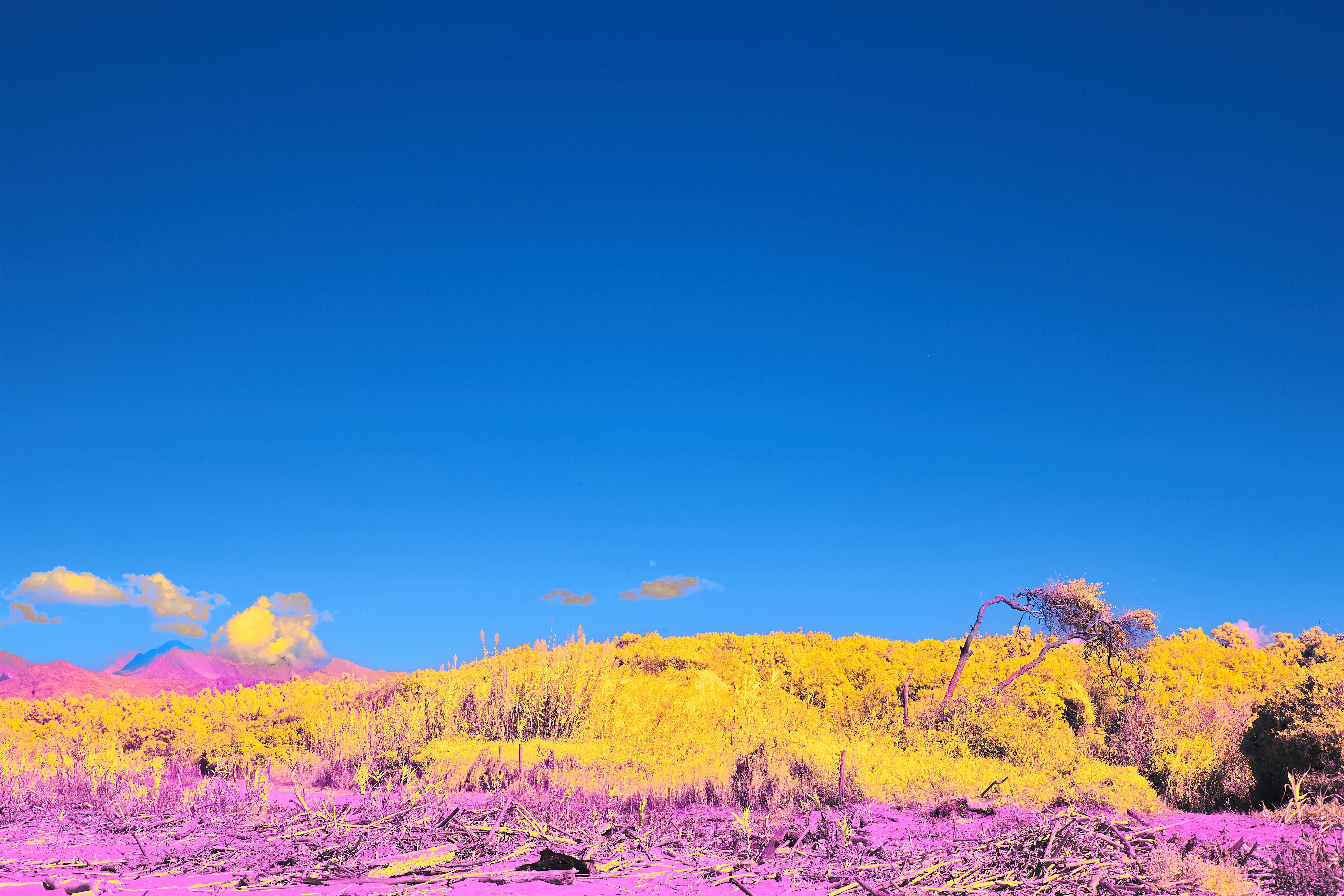 Photo by wolfgang_hasselmann