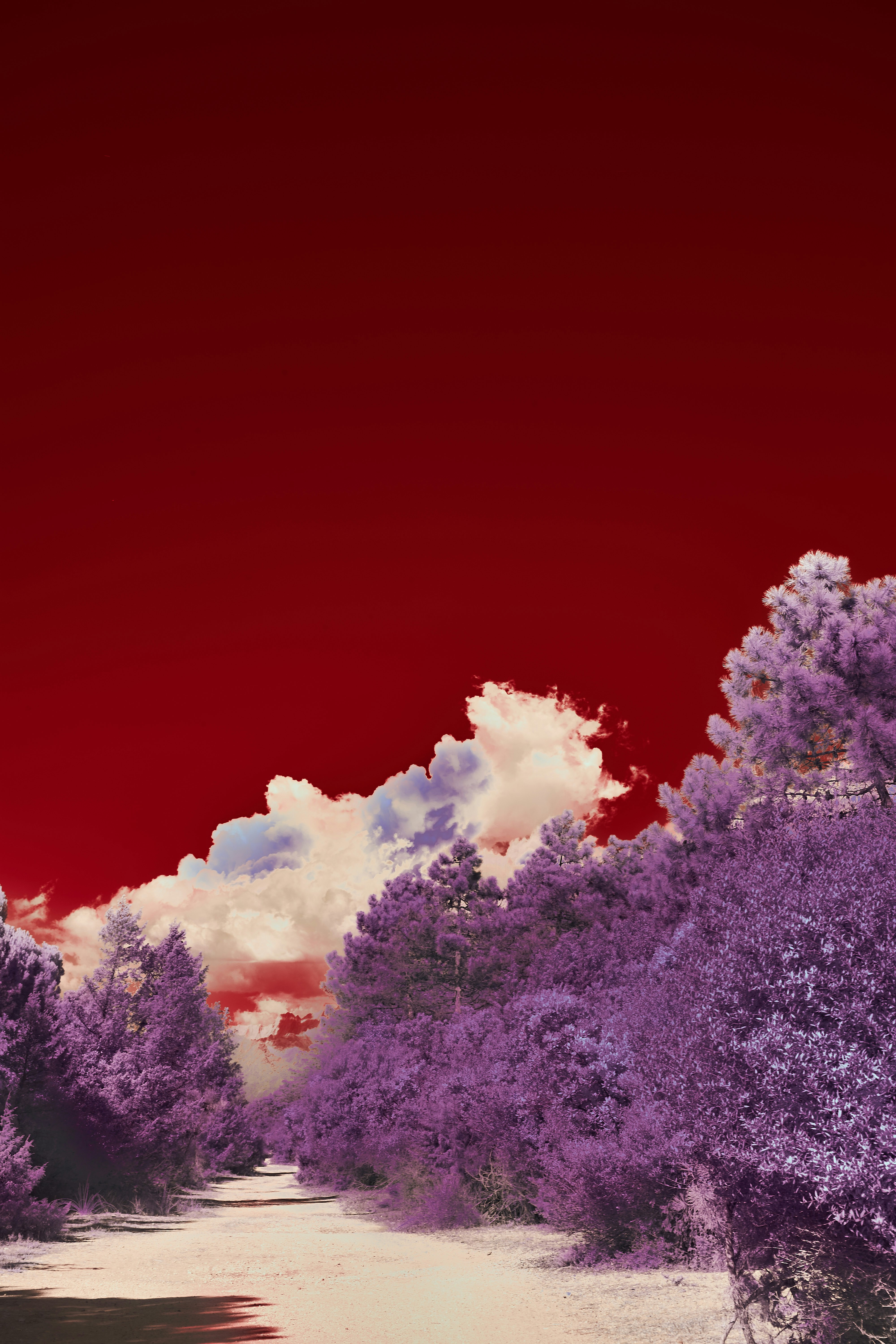 Photo by wolfgang_hasselmann