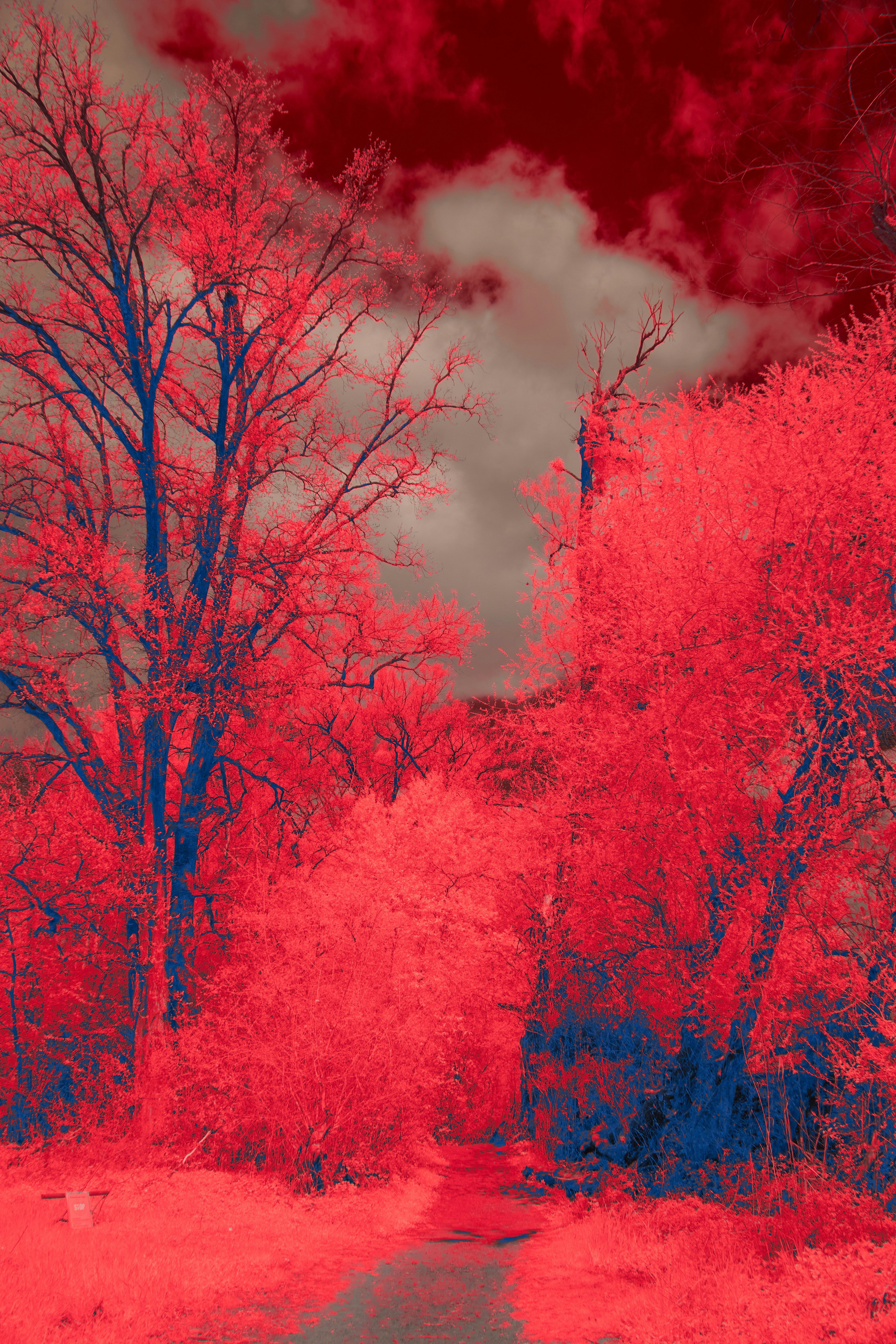 Photo by wolfgang_hasselmann