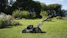Taille de haie dans un jardin à La Rochelle