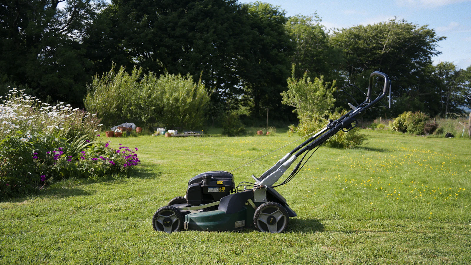 Rasenmäher auf frisch gemähtem Rasen in einem großen Garten mit Staudenbeeten