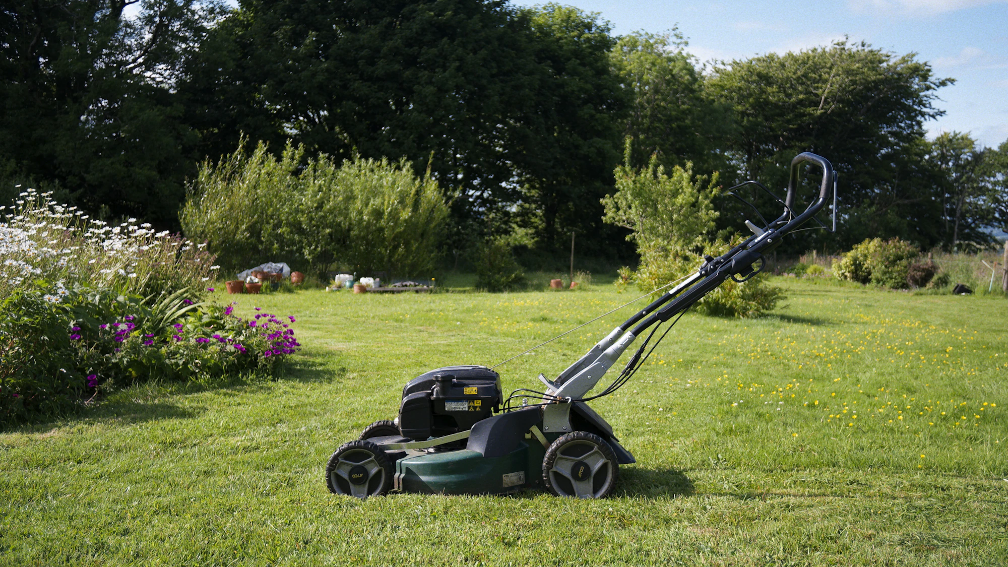 Lawn Mowing & Turf Care