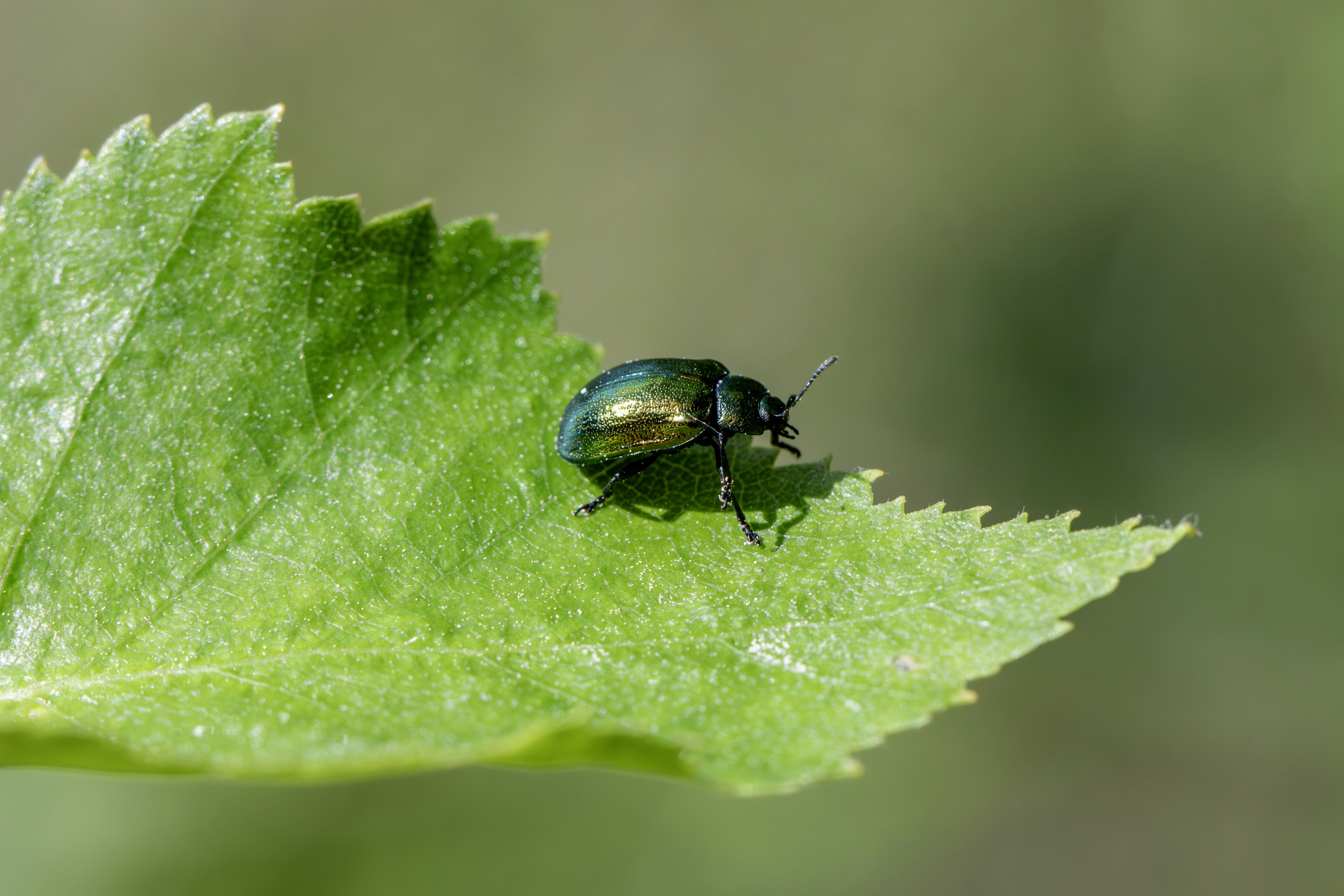 Photo by erik_karits