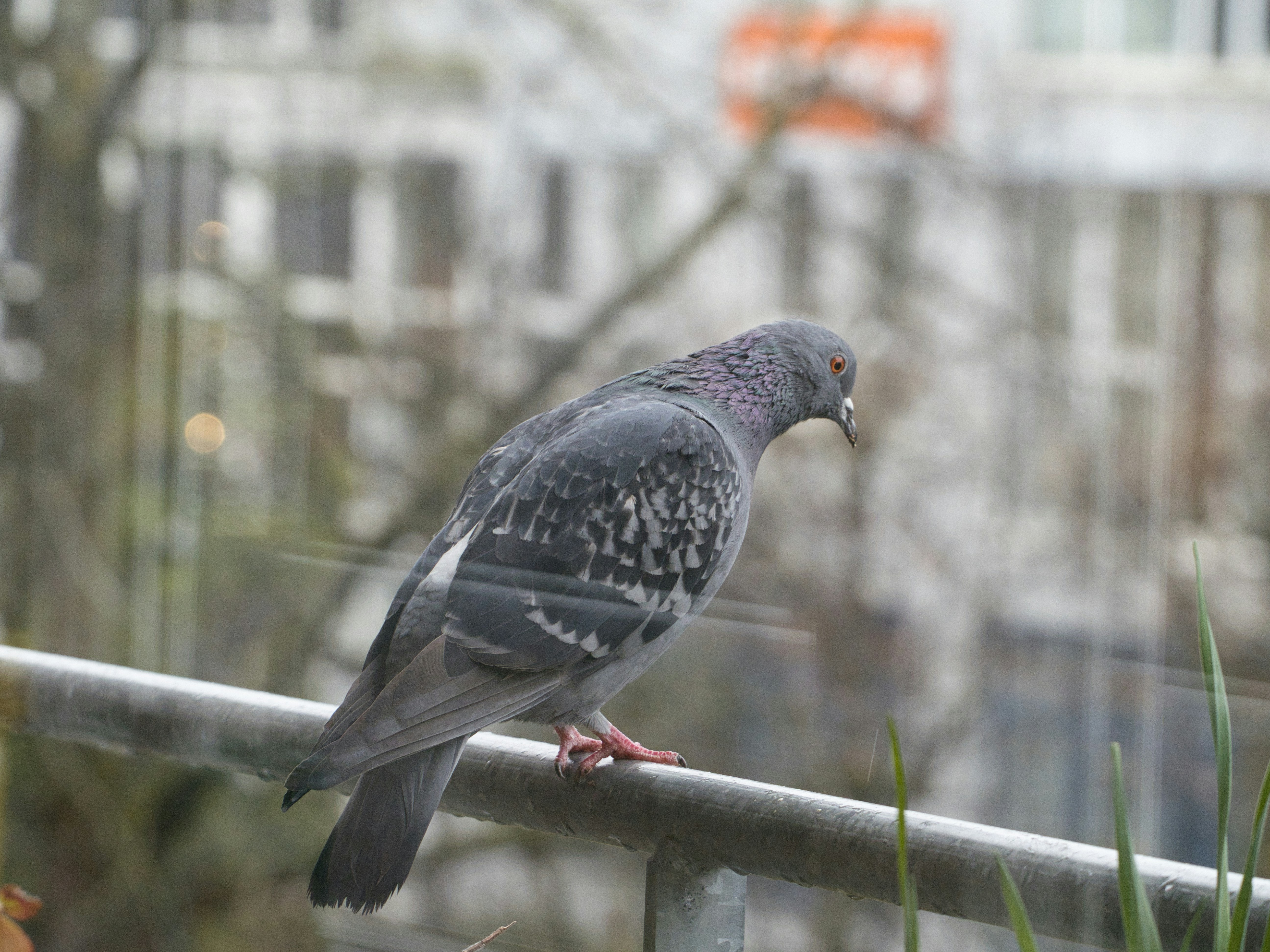 Photo by theskytales