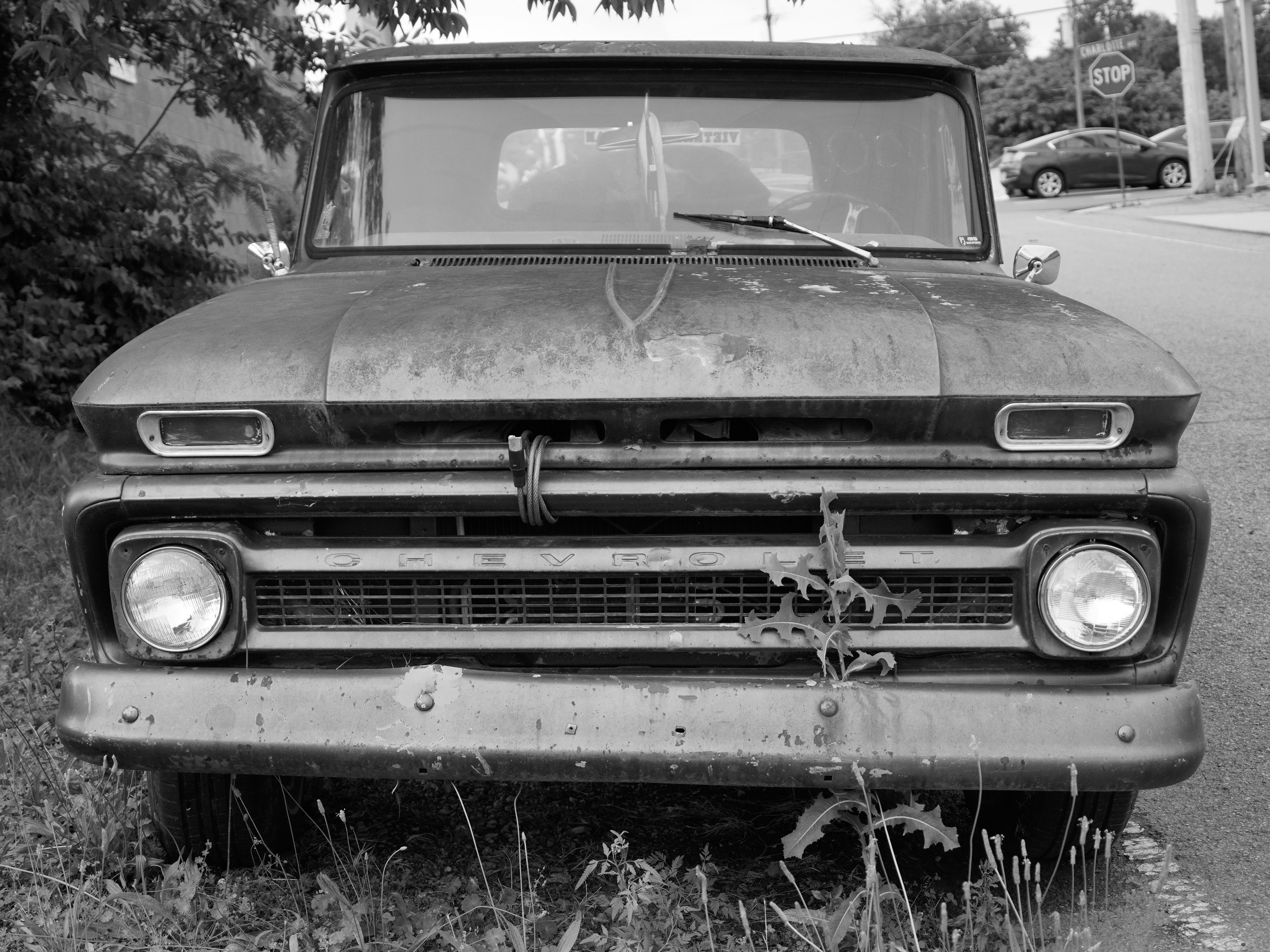 Photo by barnabaspiper