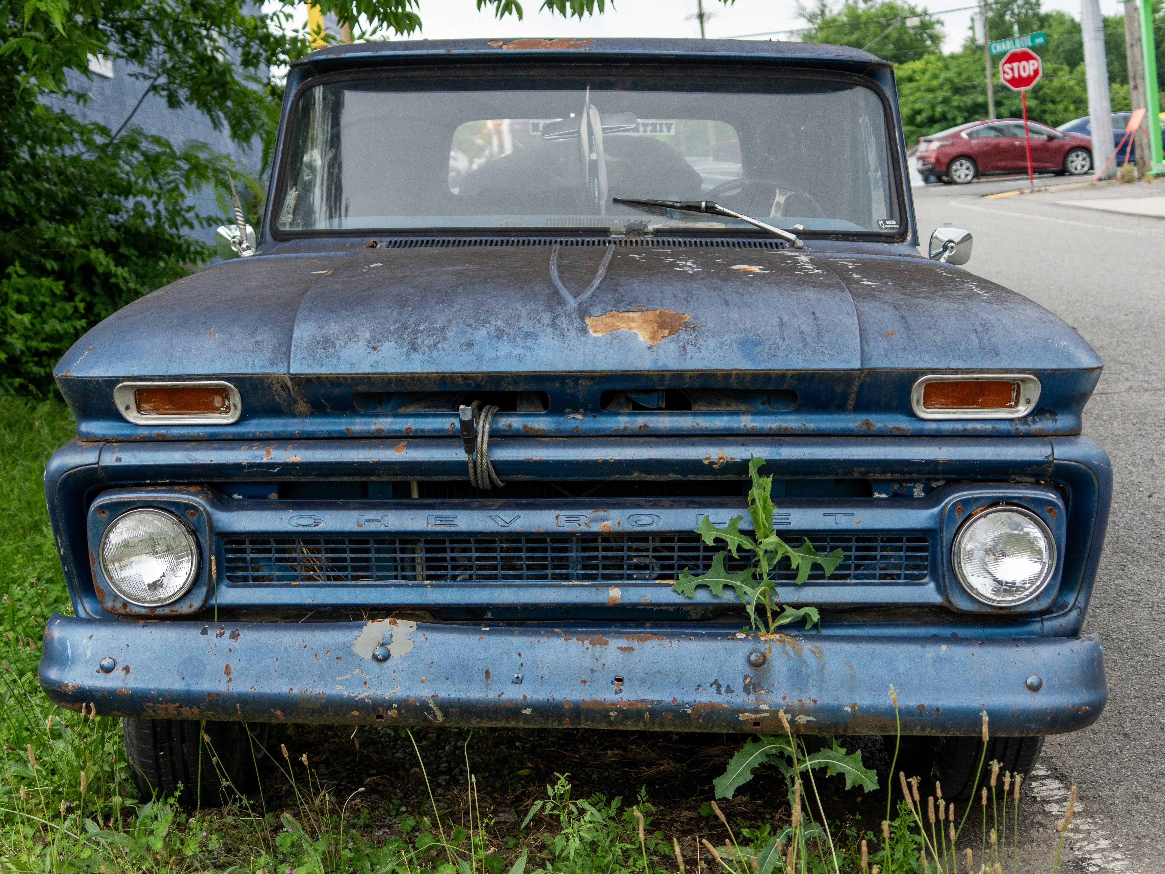 Photo by barnabaspiper