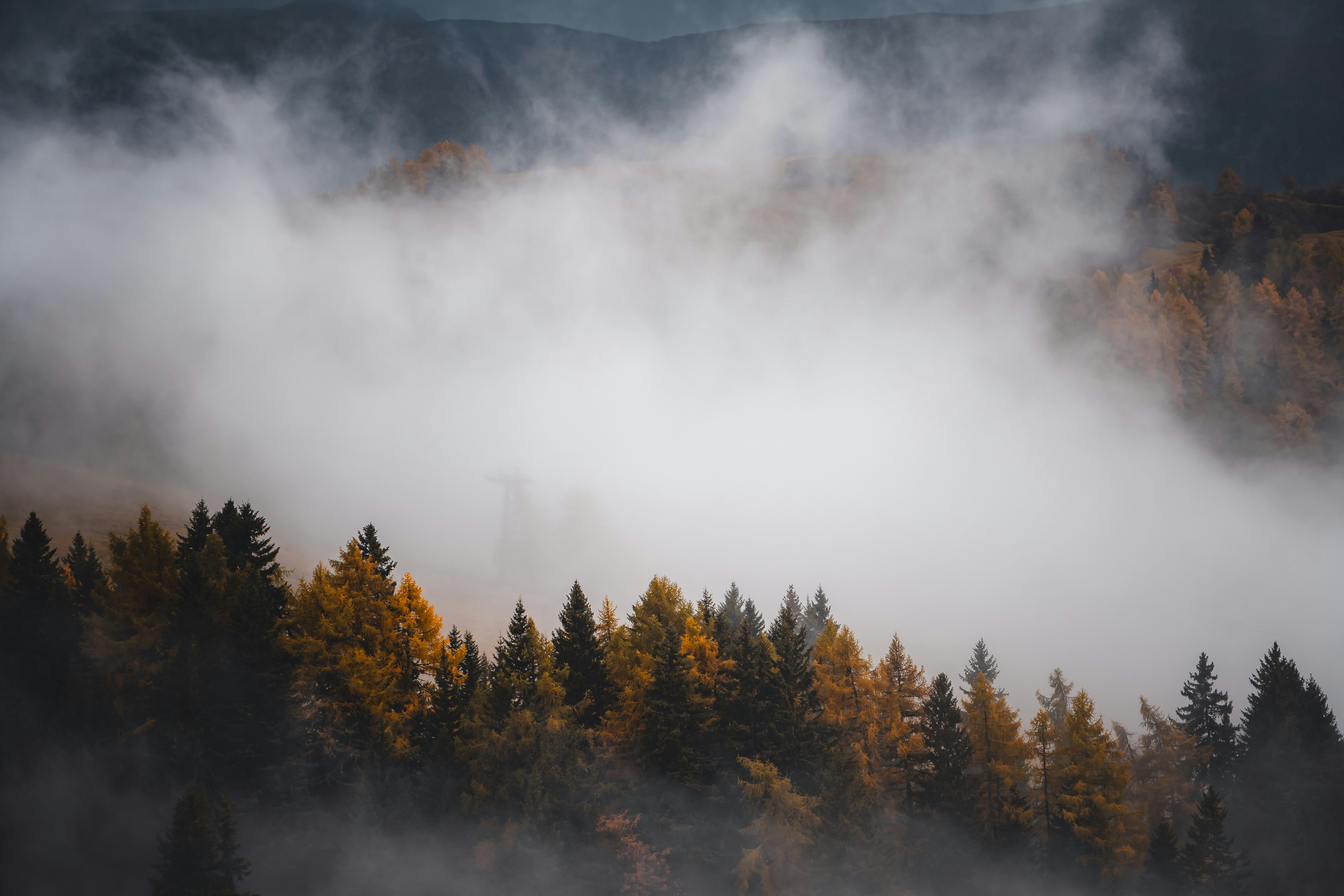 Photo by willianjusten