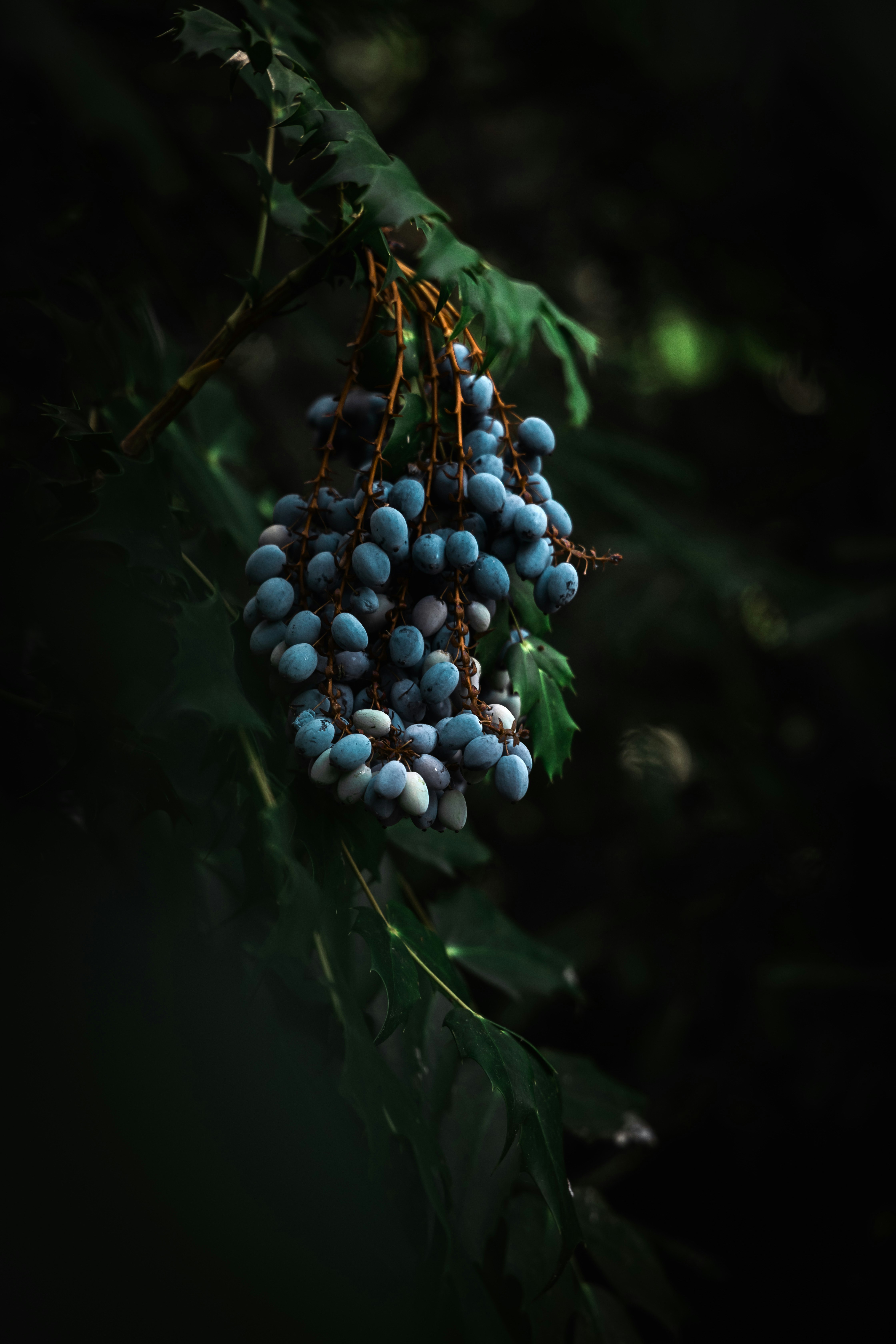 Photo by chris_reyem