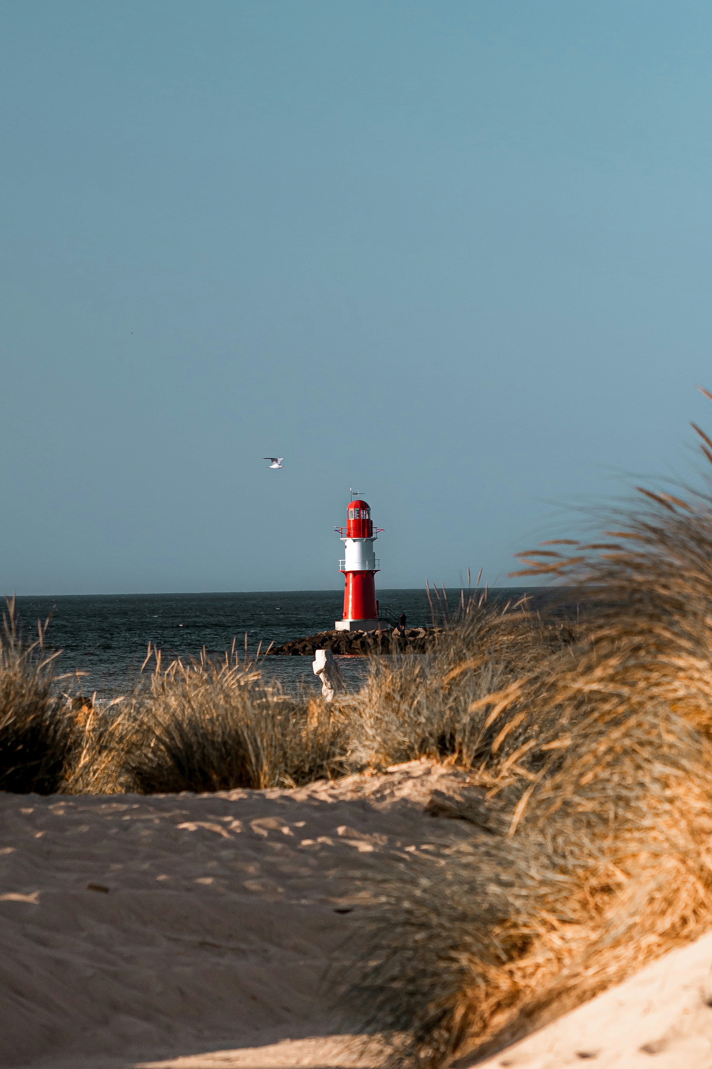 Photo by chris_reyem