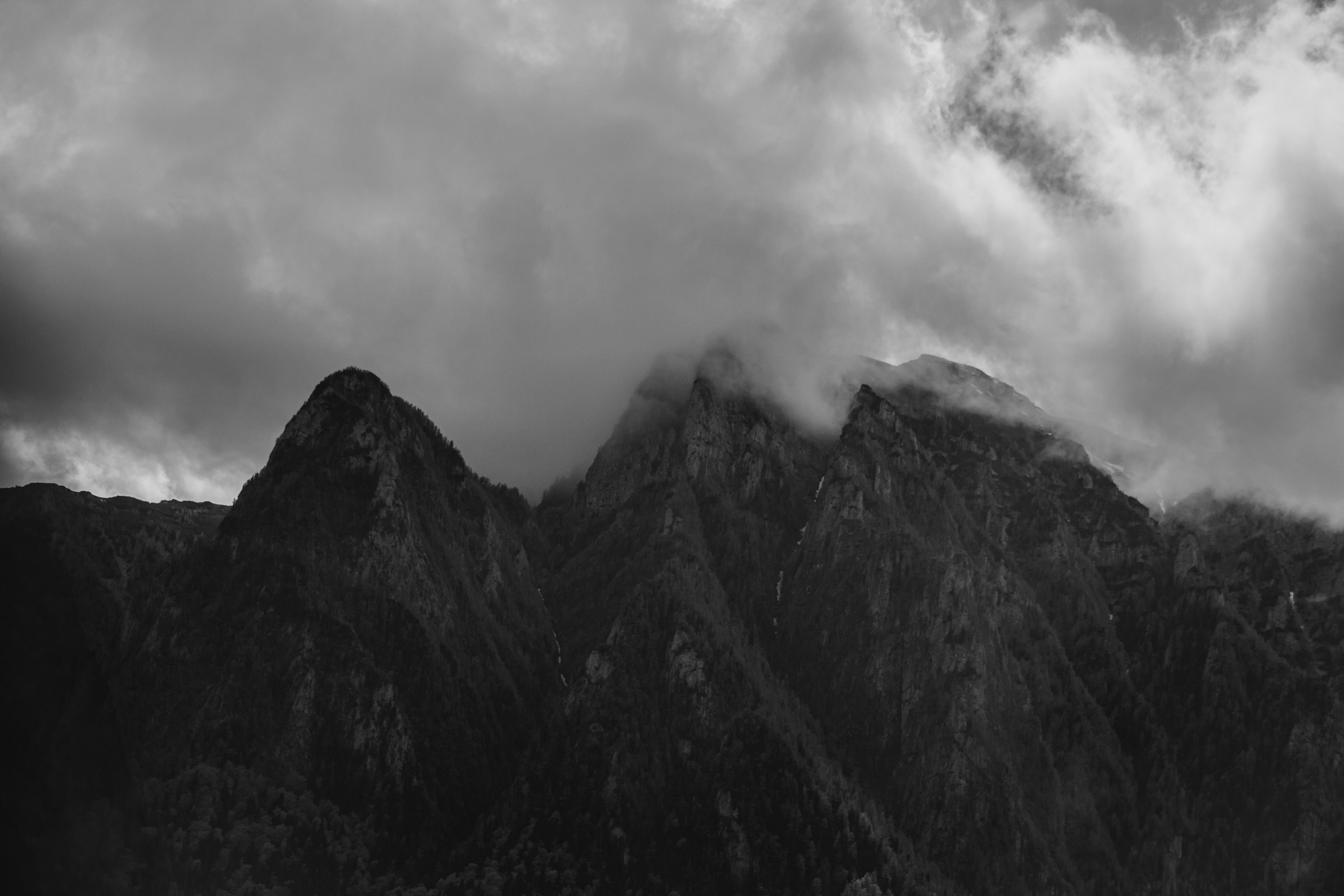 Photo by shotbyellamateea