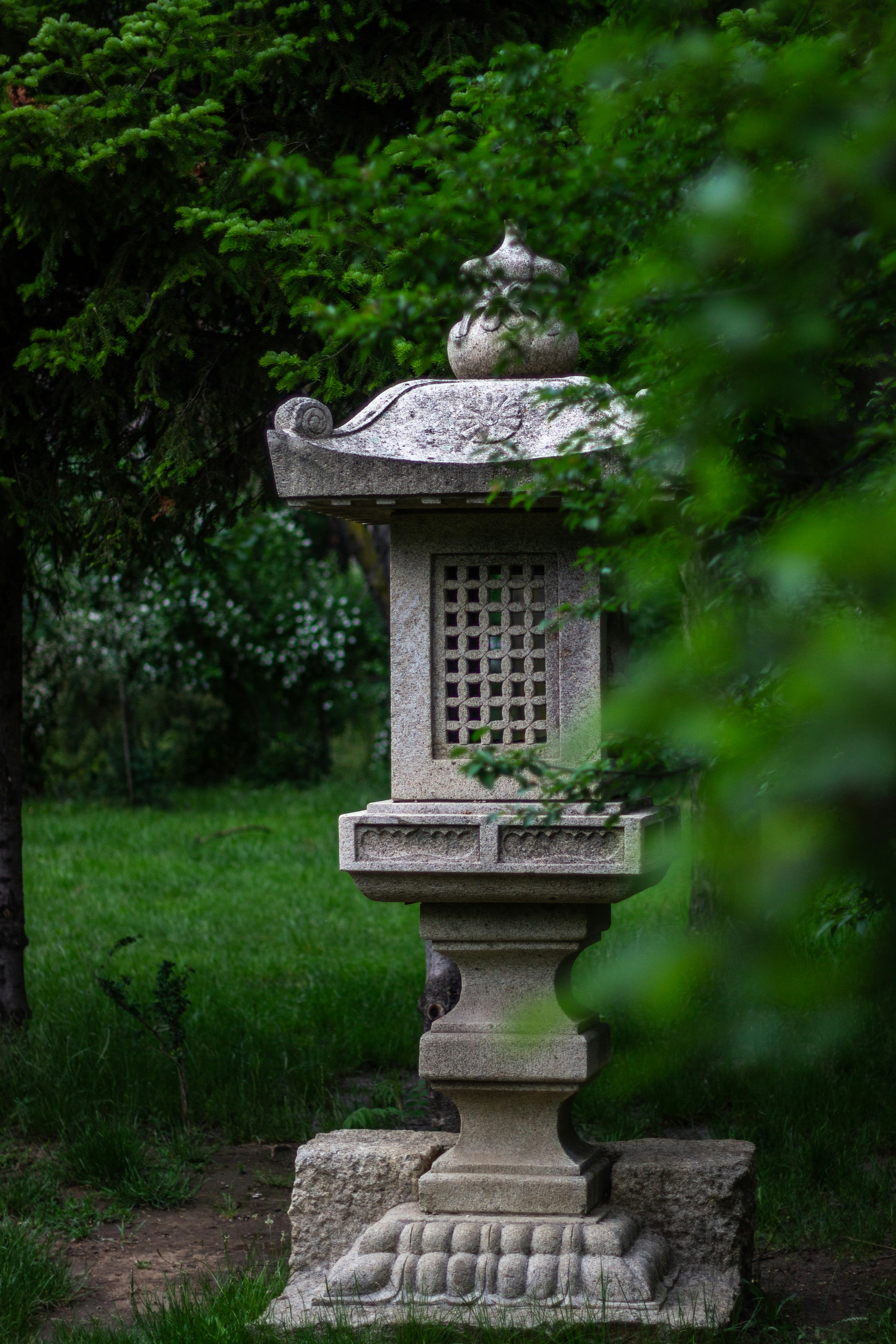 Photo by shotbyellamateea