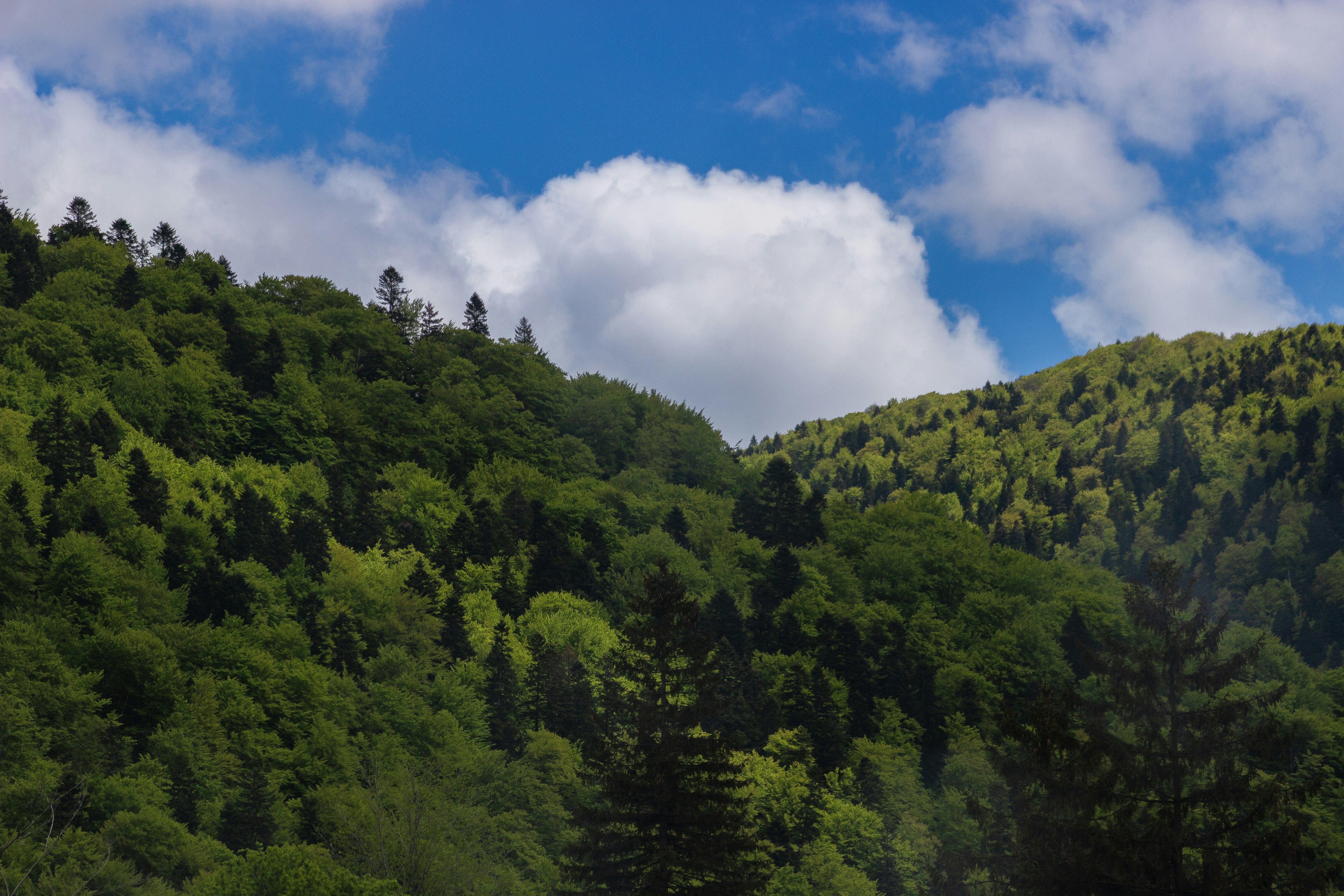 Photo by shotbyellamateea