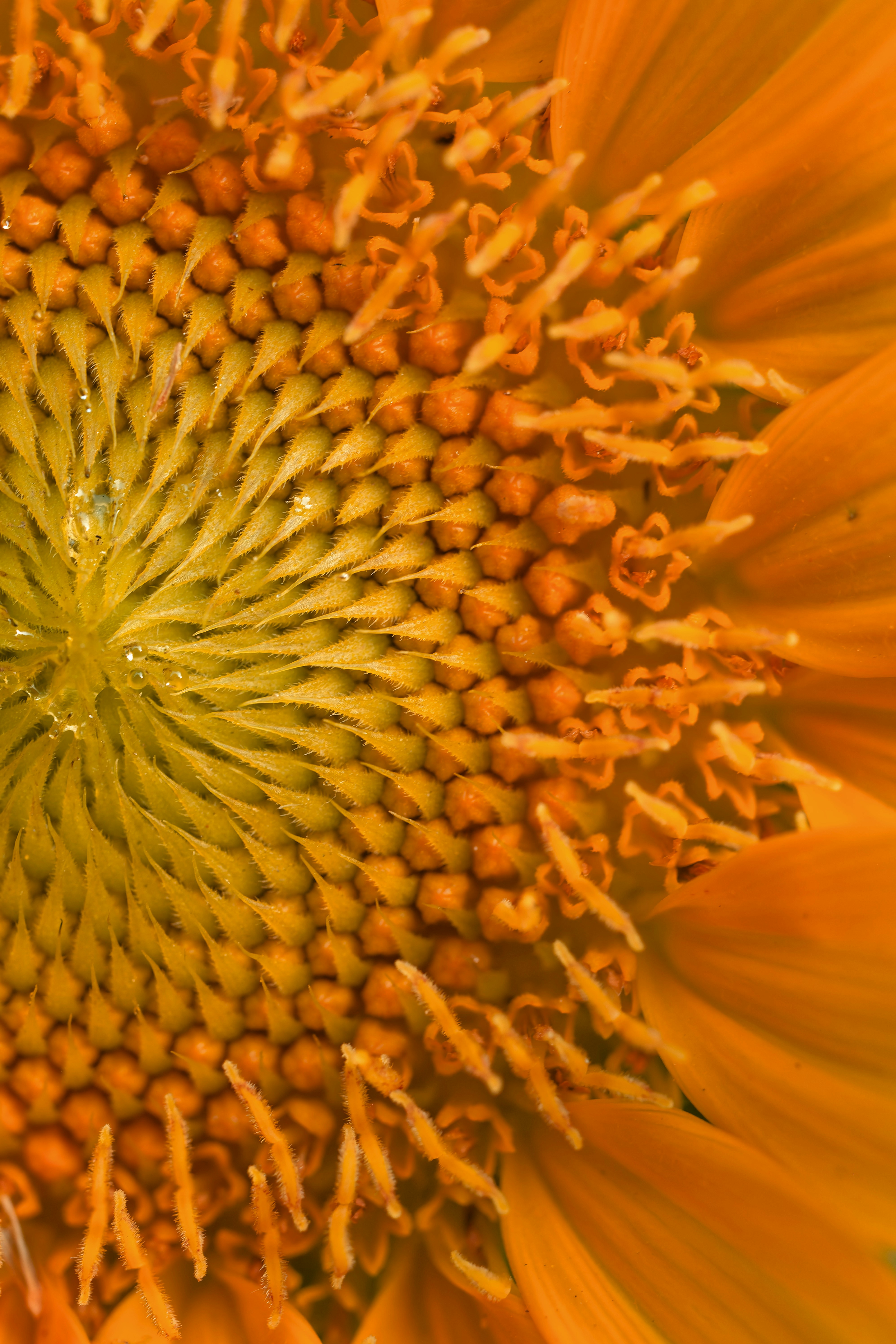 Photo by asphotographypics