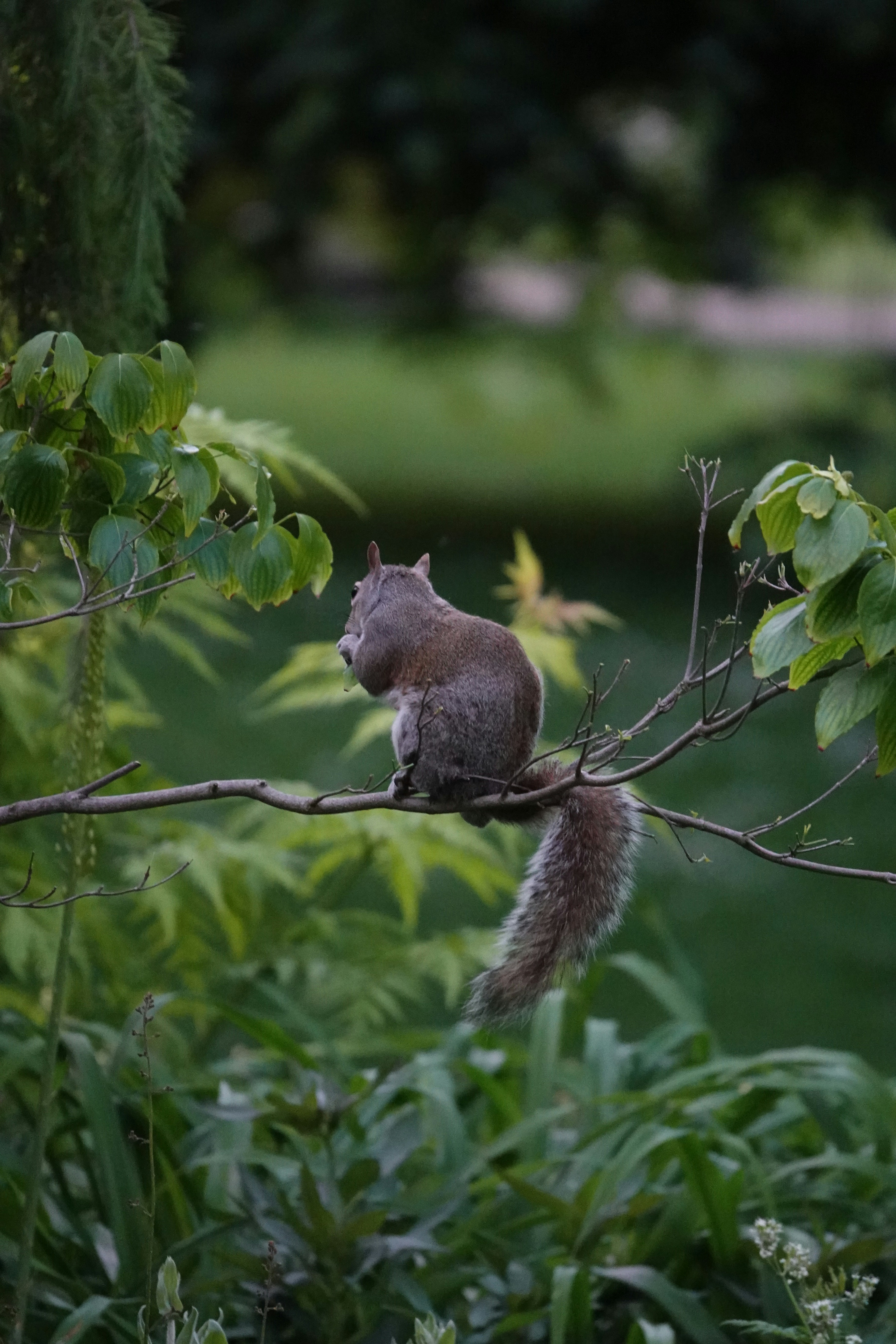 Photo by priyankachechi29