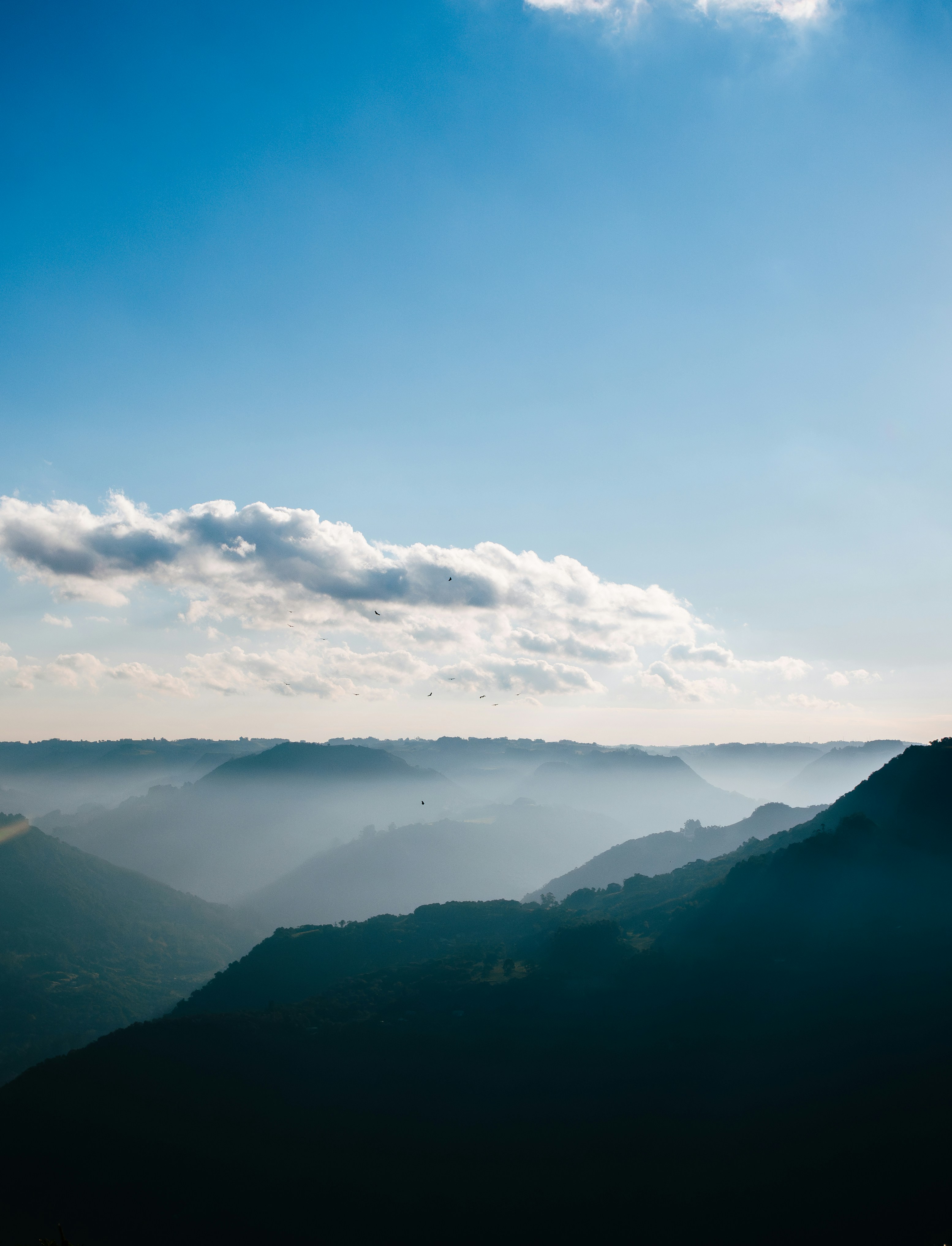 Photo by andreicastanha