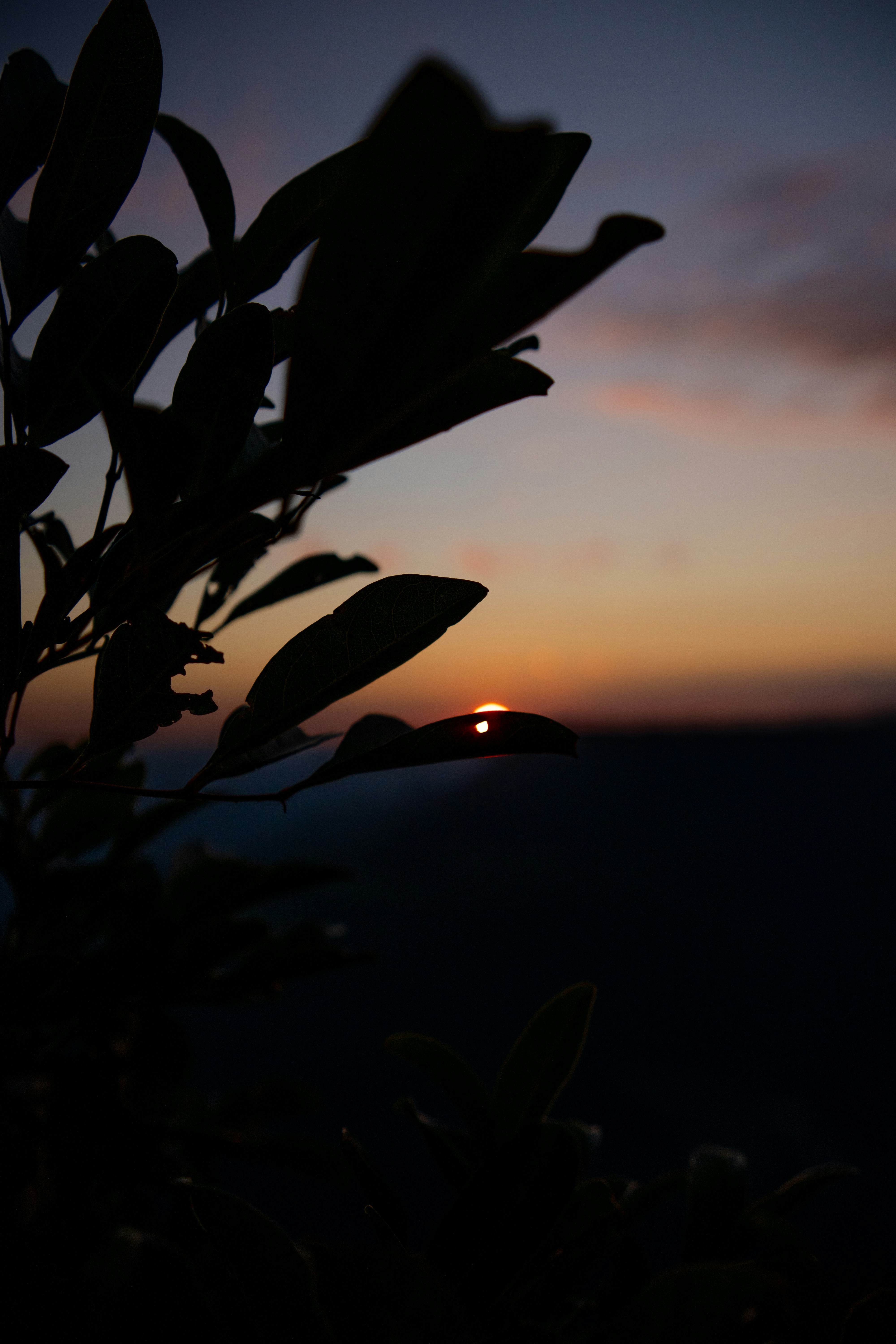 Photo by andreicastanha