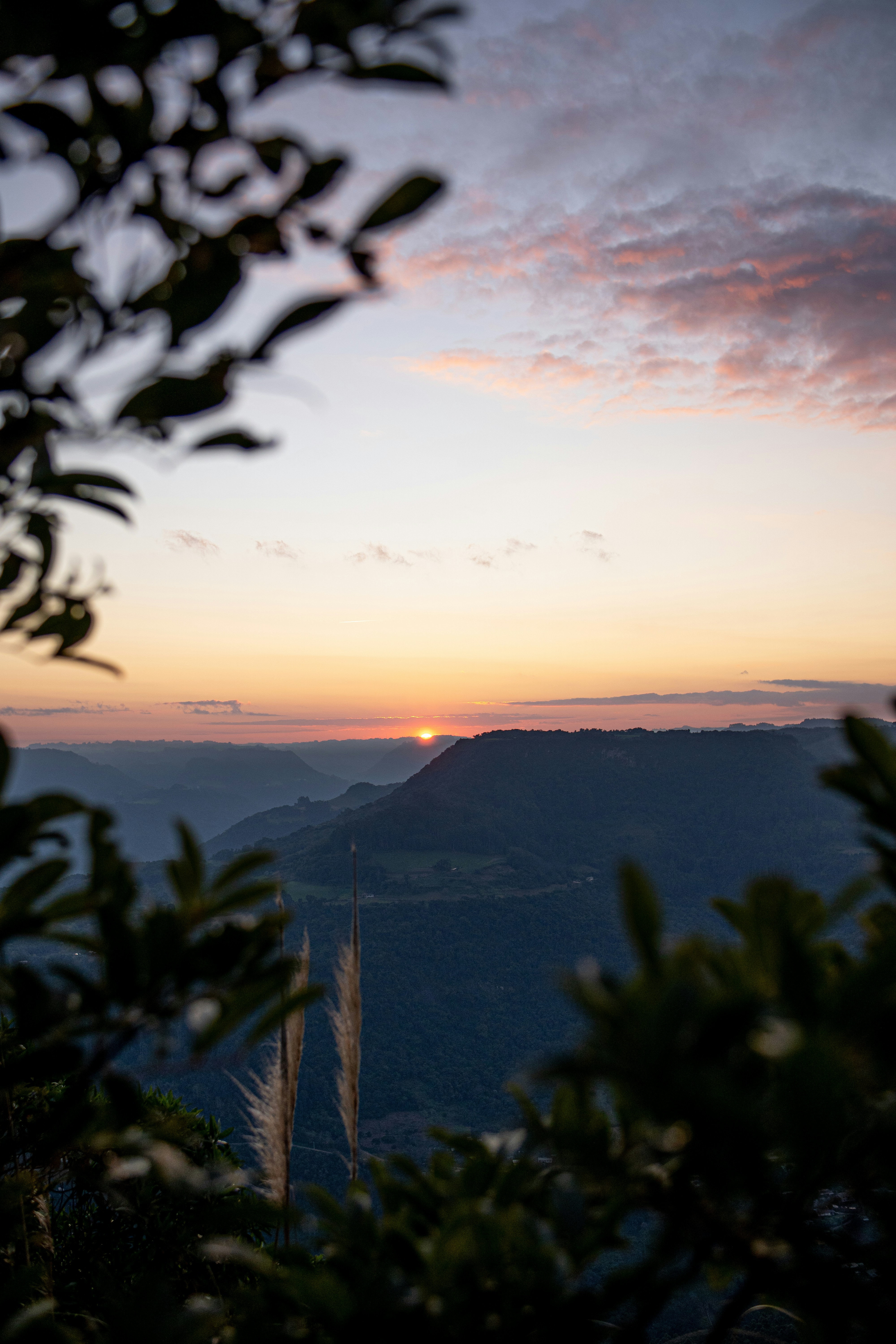 Photo by andreicastanha