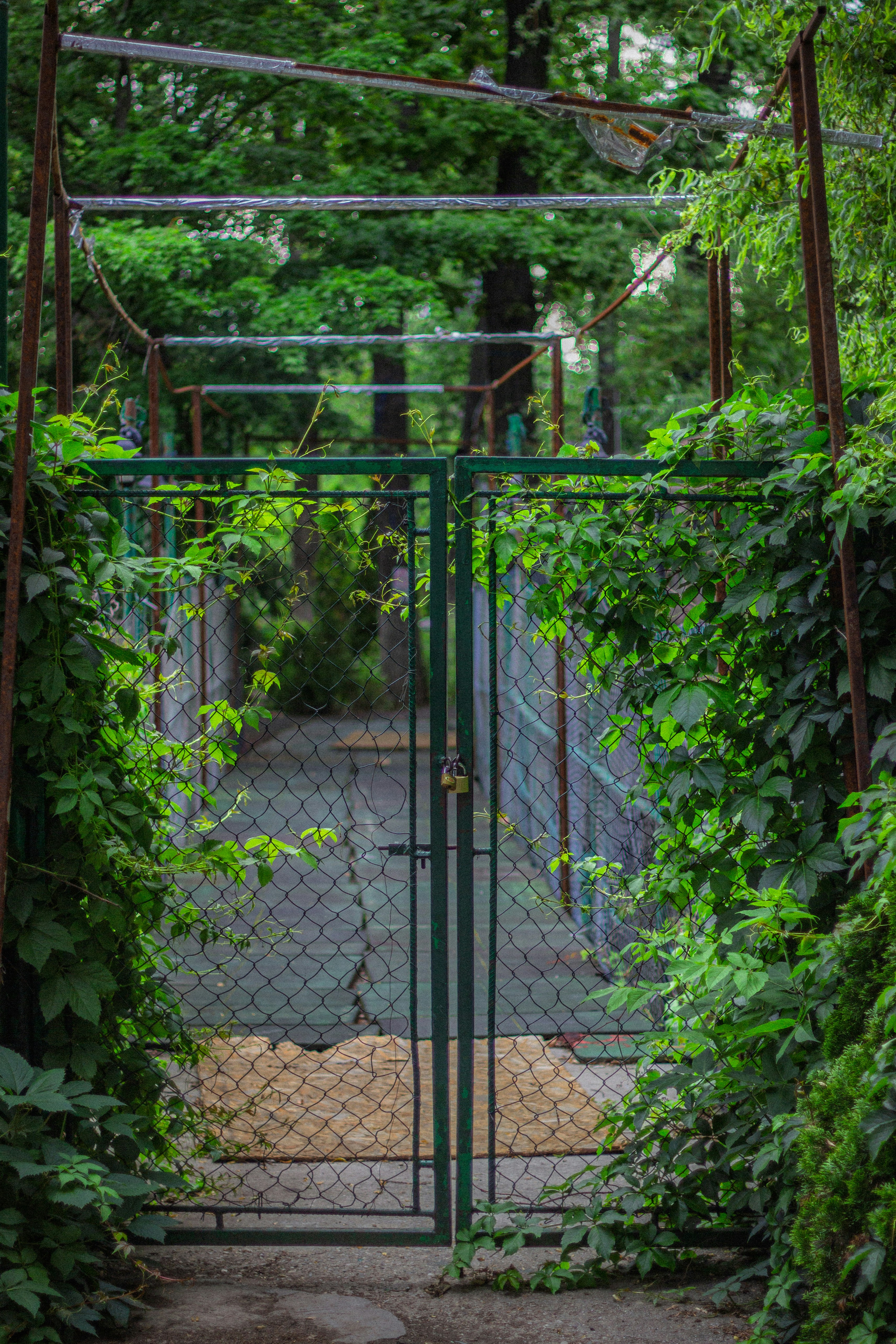 Photo by shotbyellamateea