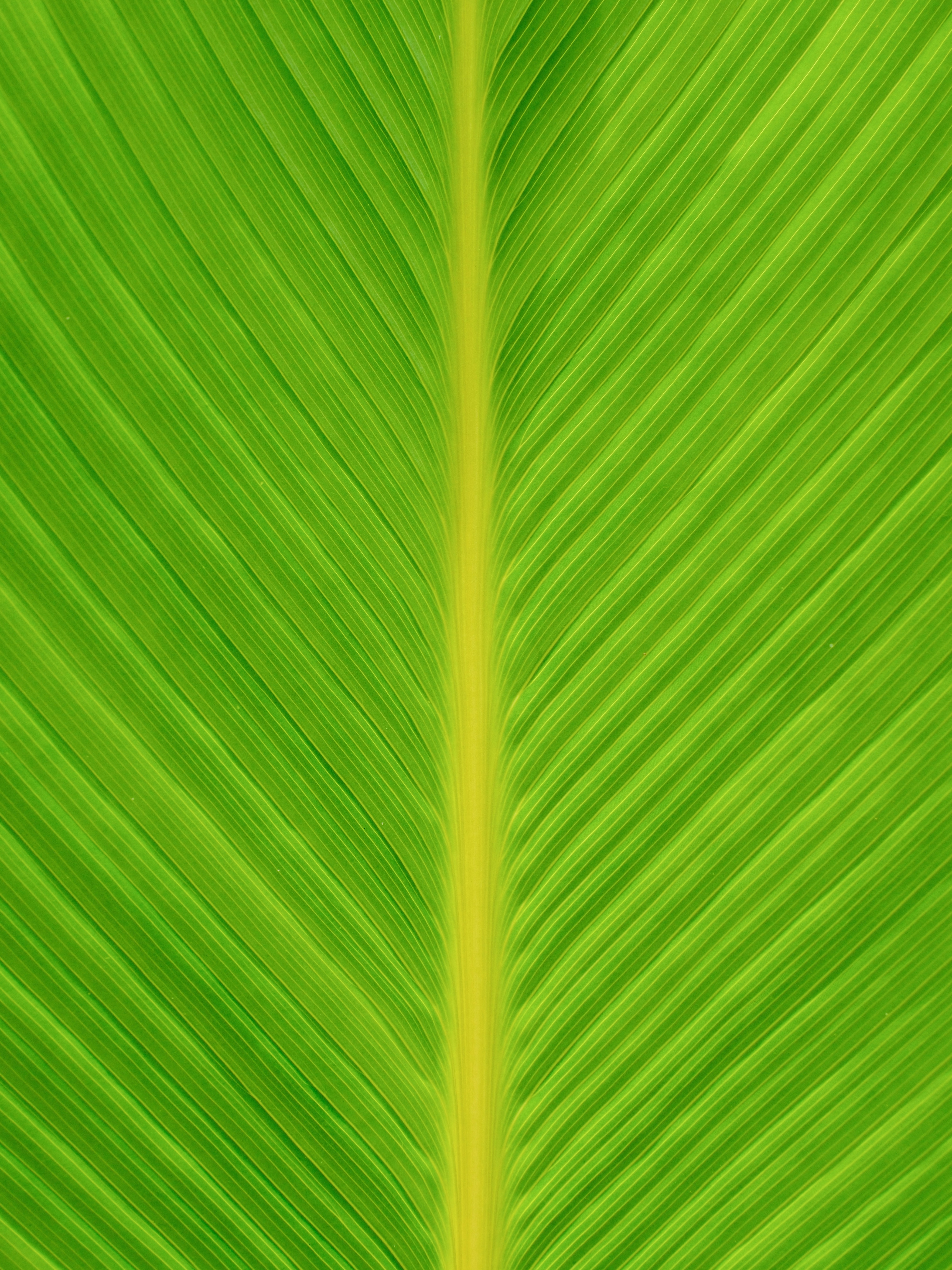 Photo by farnaz________