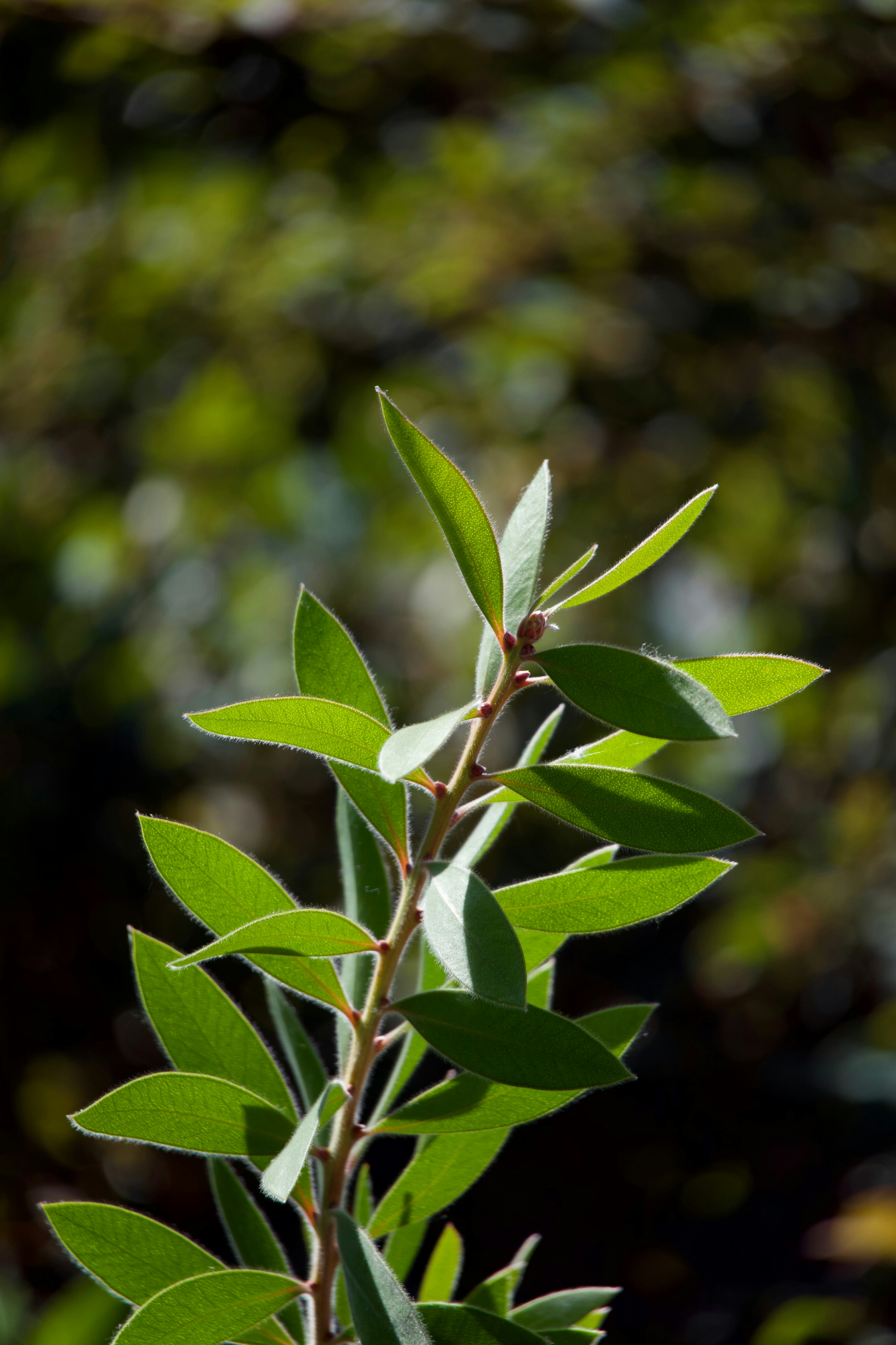 Photo by sarguninder