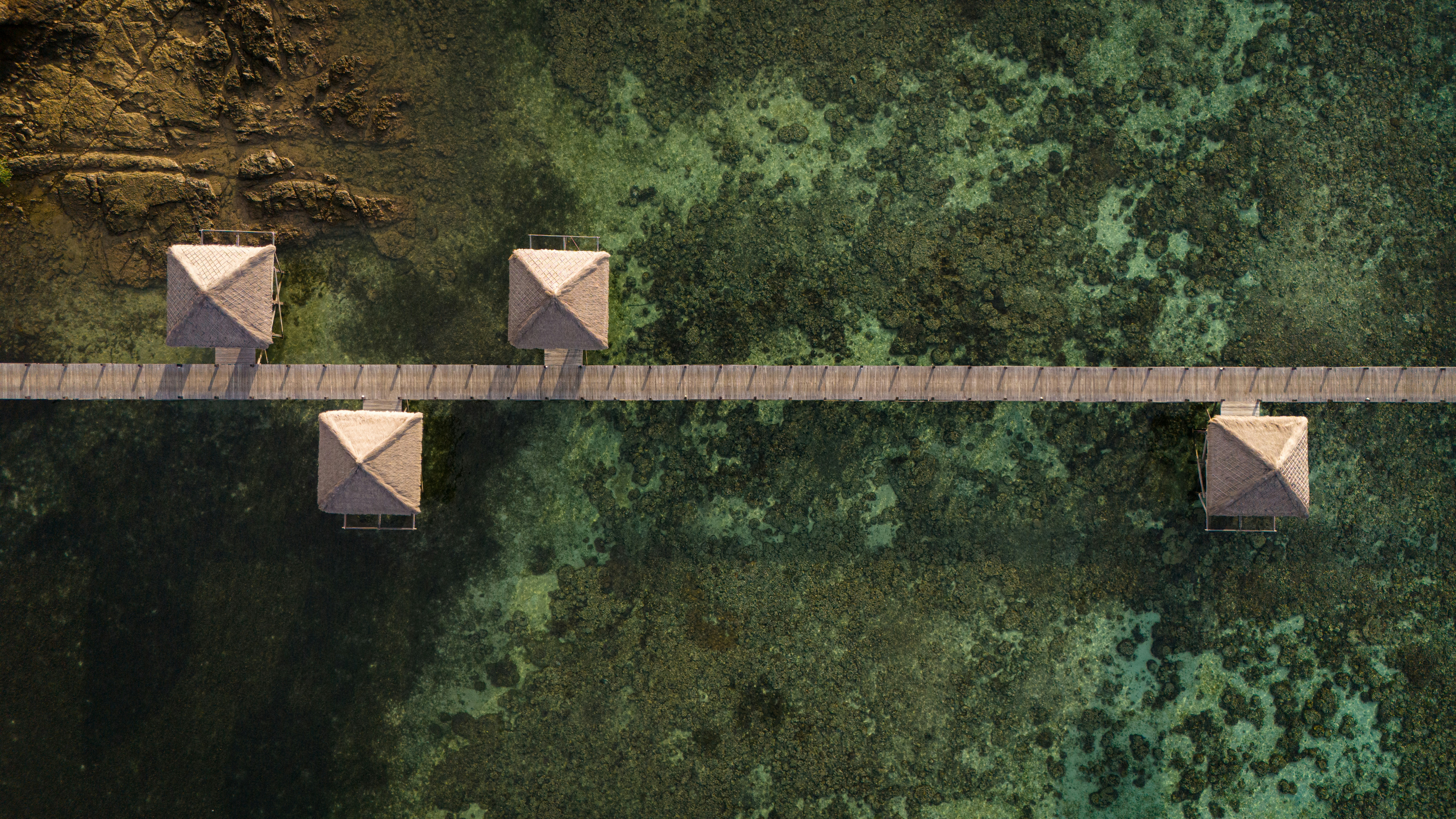 Bridging the Void: How AI Companions are Reshaping the Loneliness Epidemic