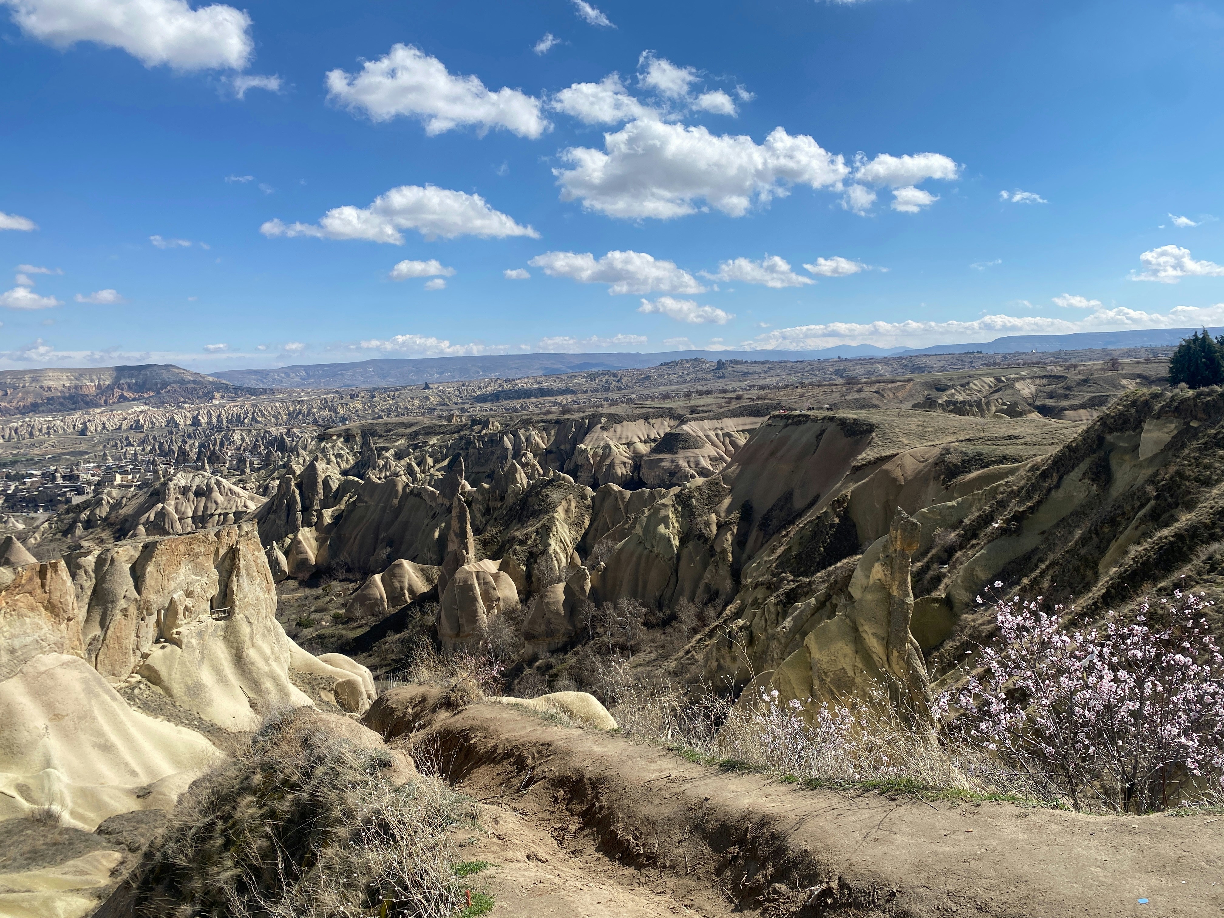 A scenic view of the unique, rocky landscape