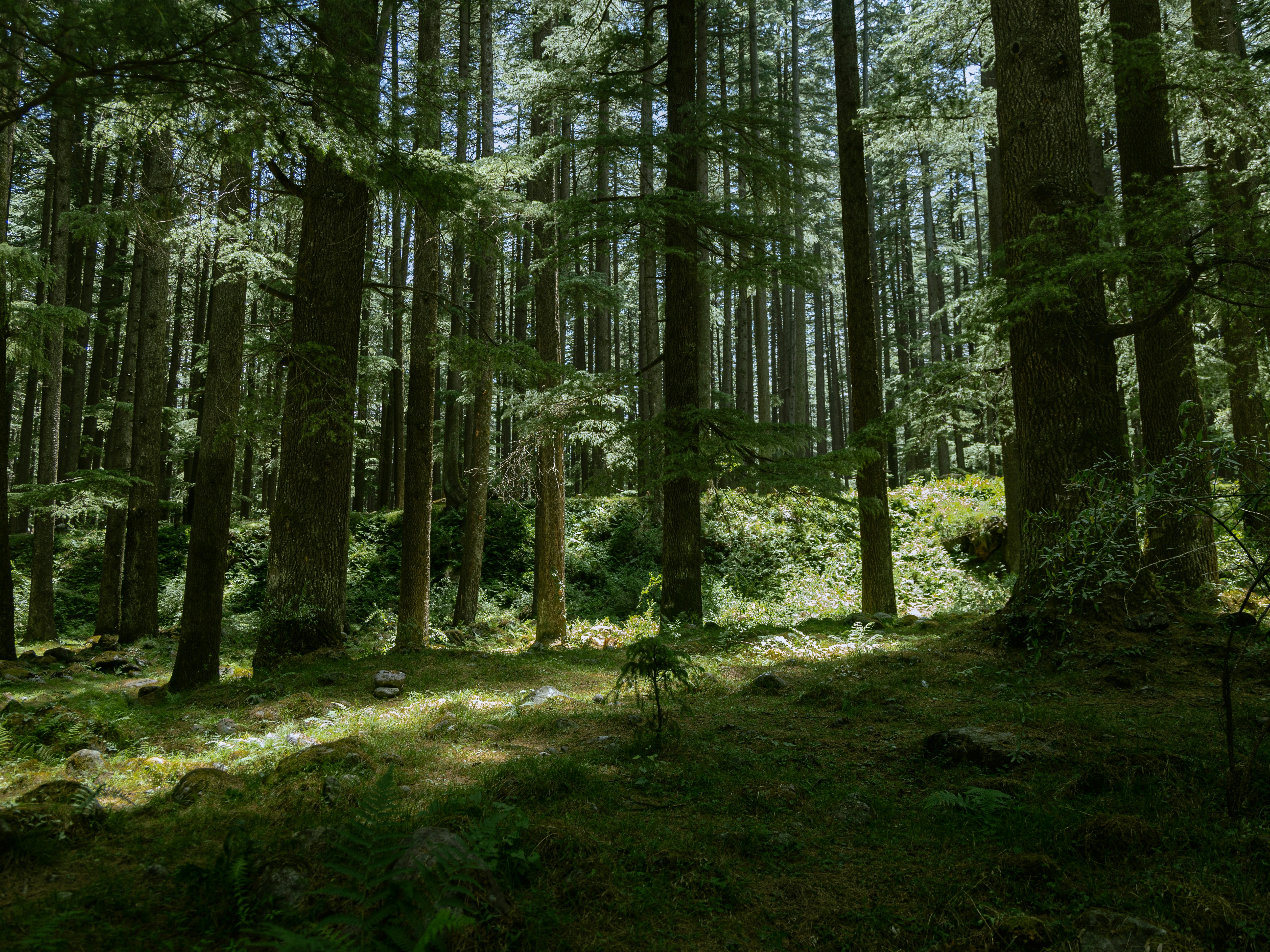 Photo by amaanabidhussain