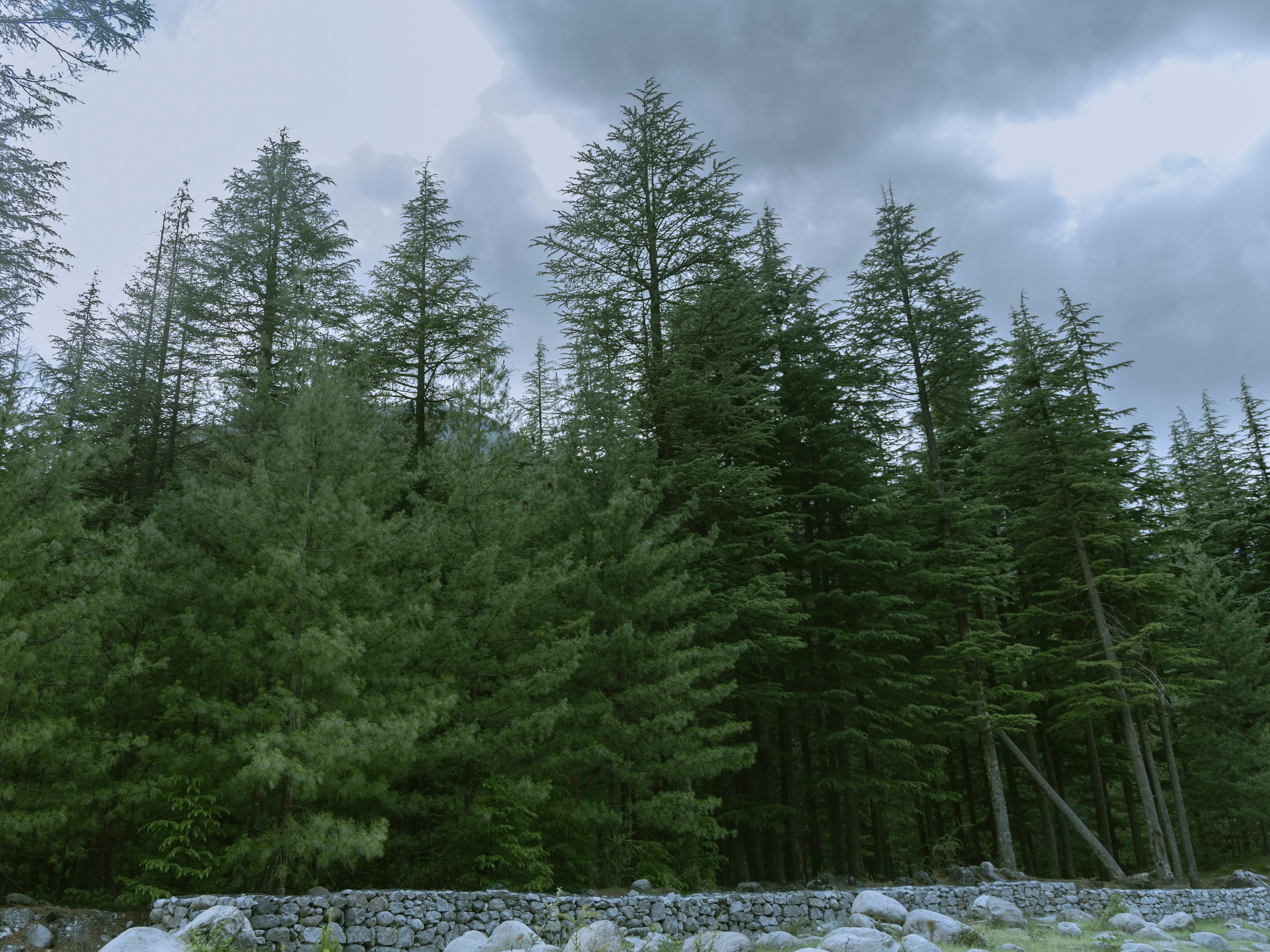 Photo by amaanabidhussain