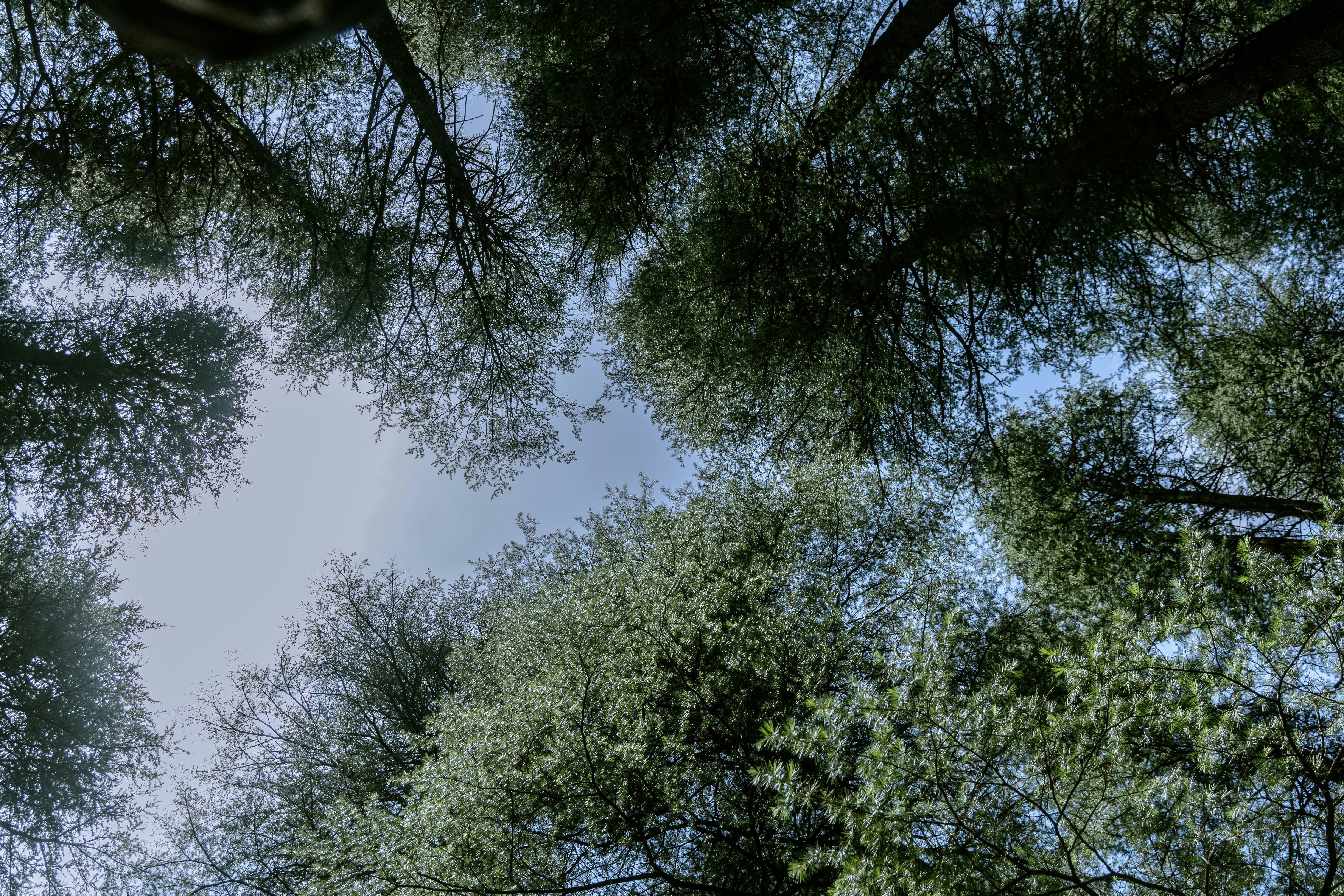 Photo by amaanabidhussain