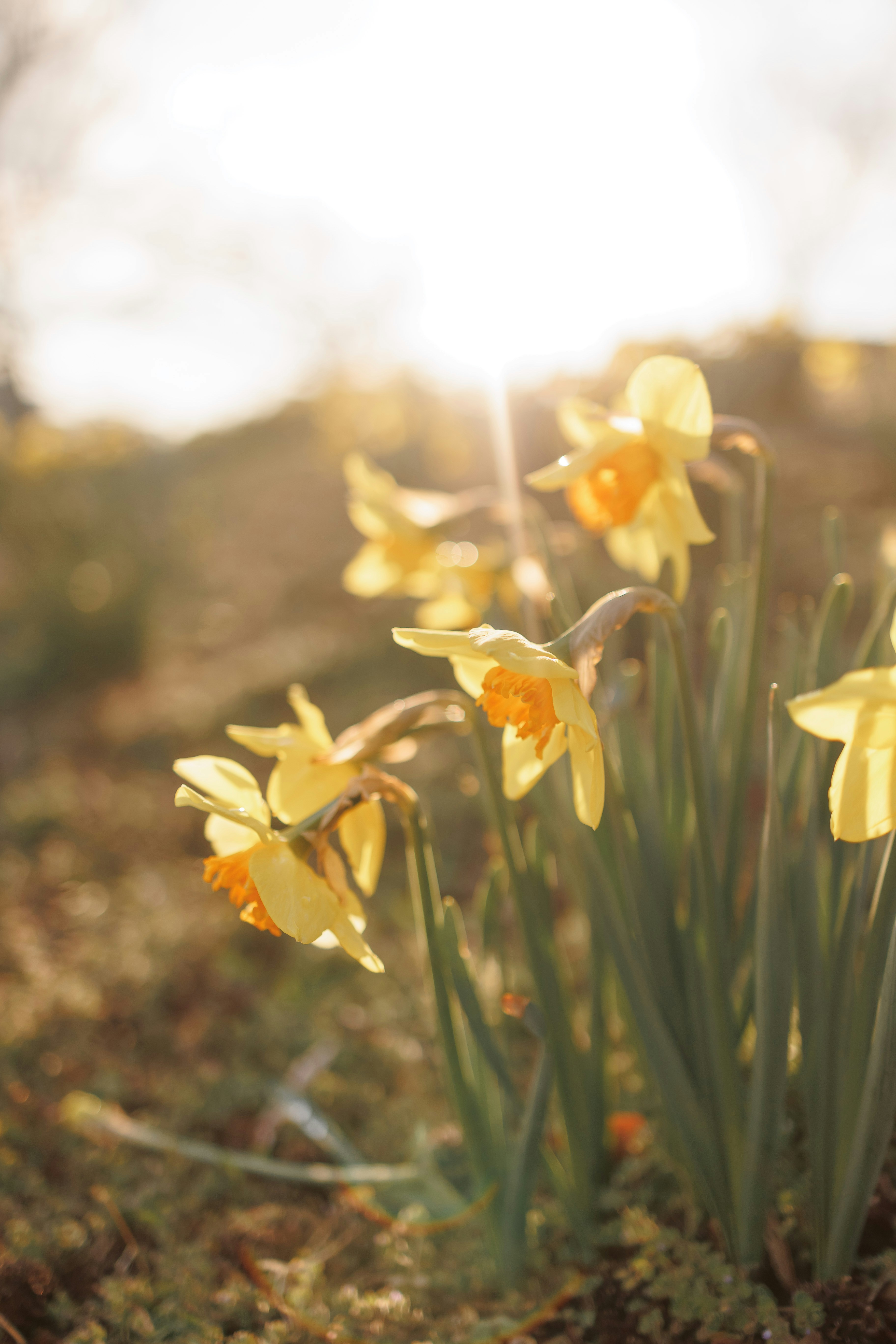 Photo by stills_byliz